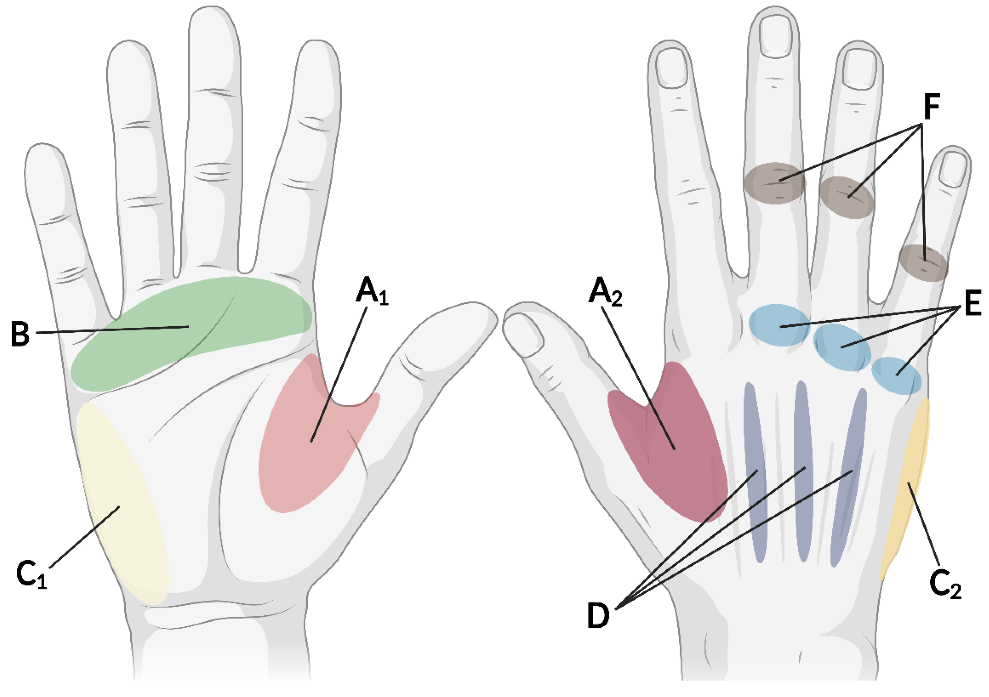 Preprints 153627 g001