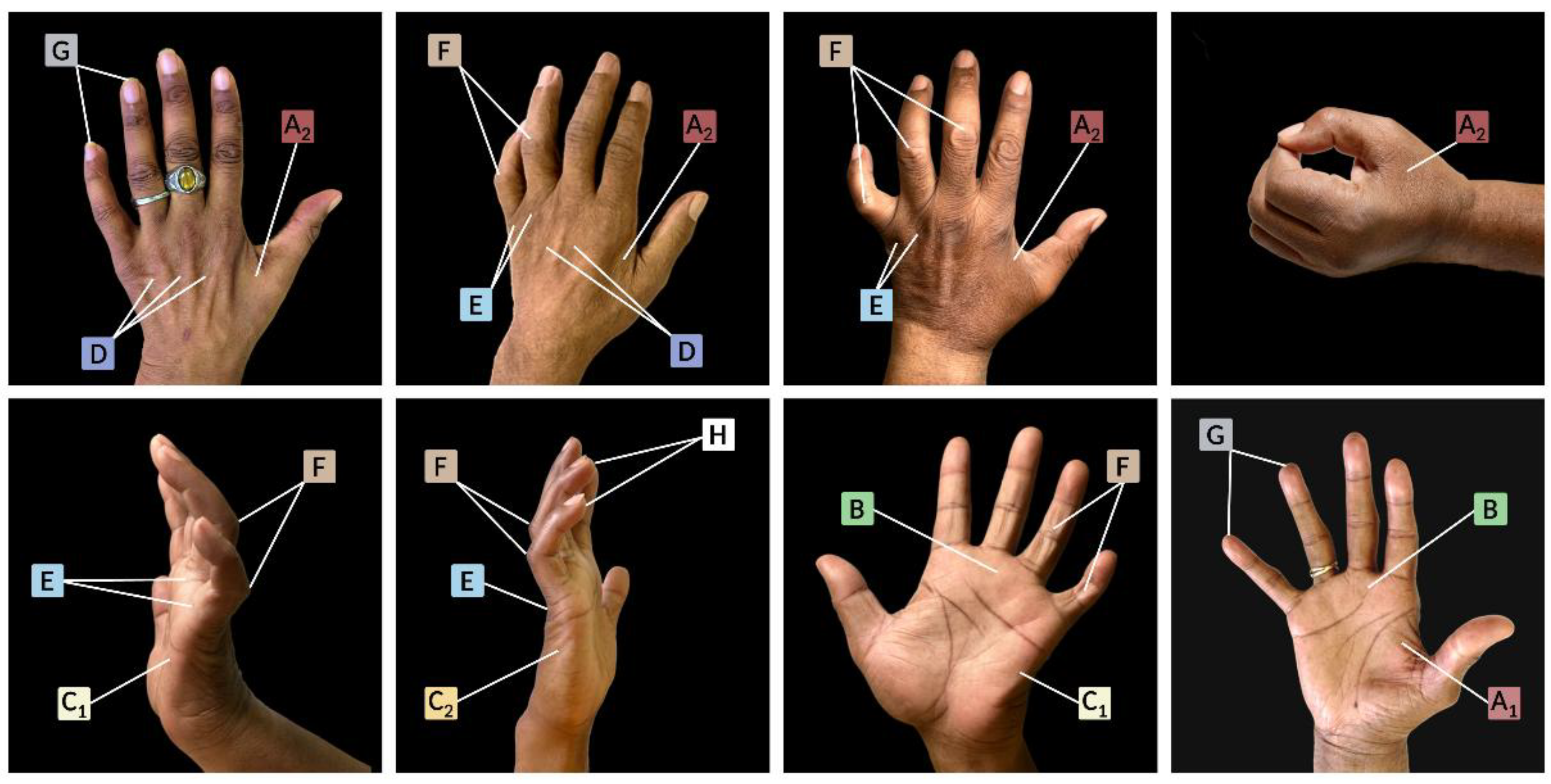 Preprints 153627 g002