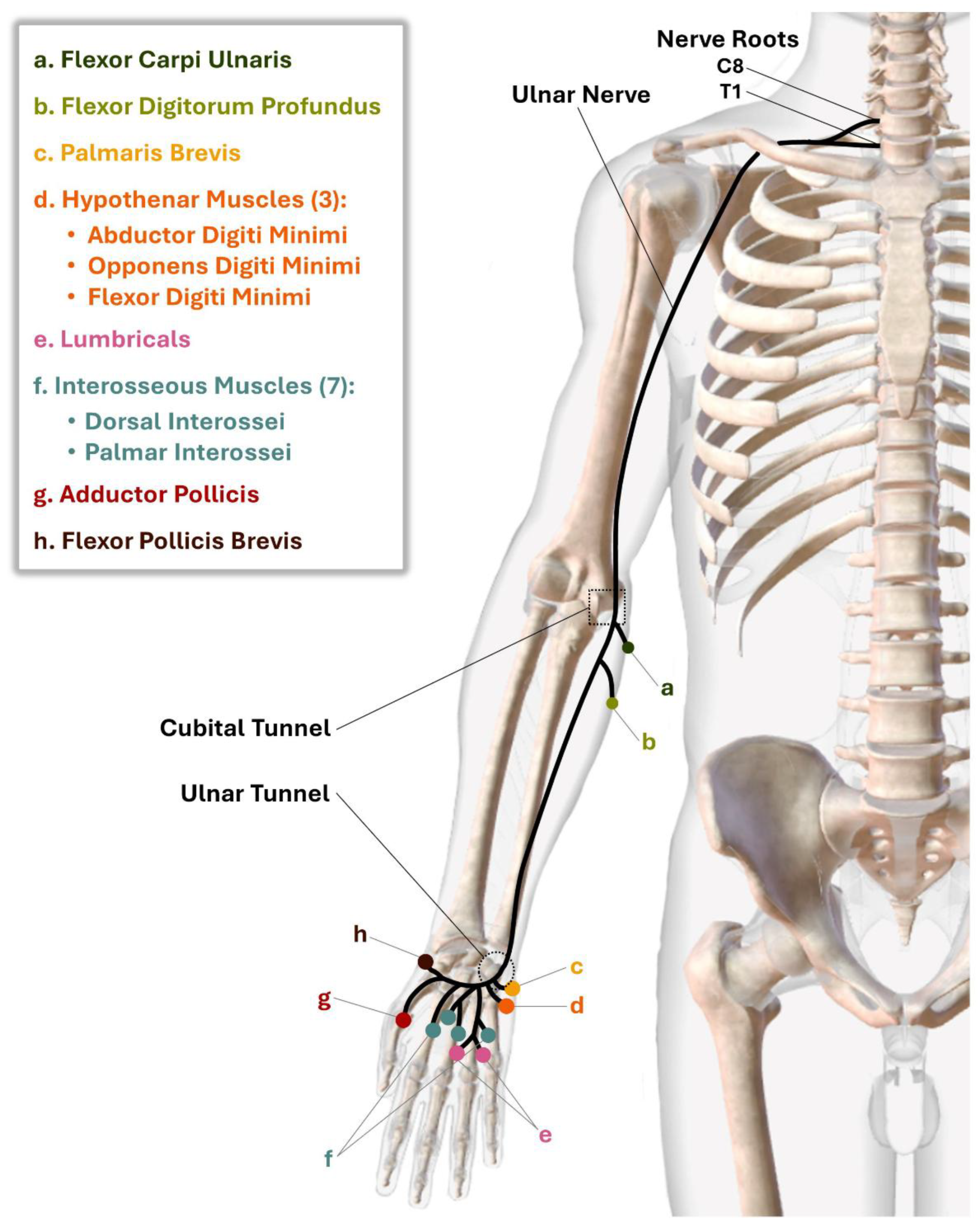 Preprints 153627 g004