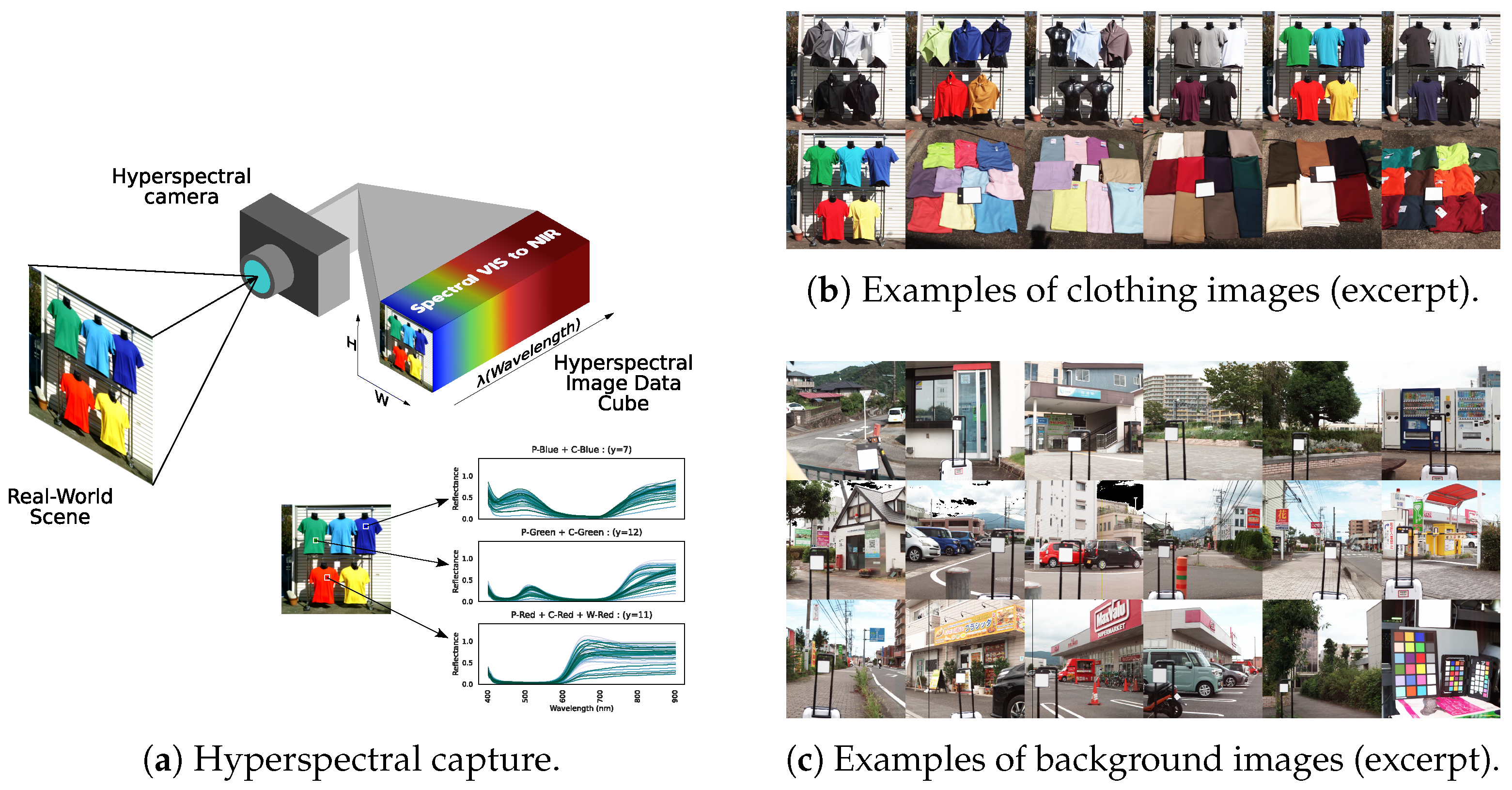 Preprints 150144 g001