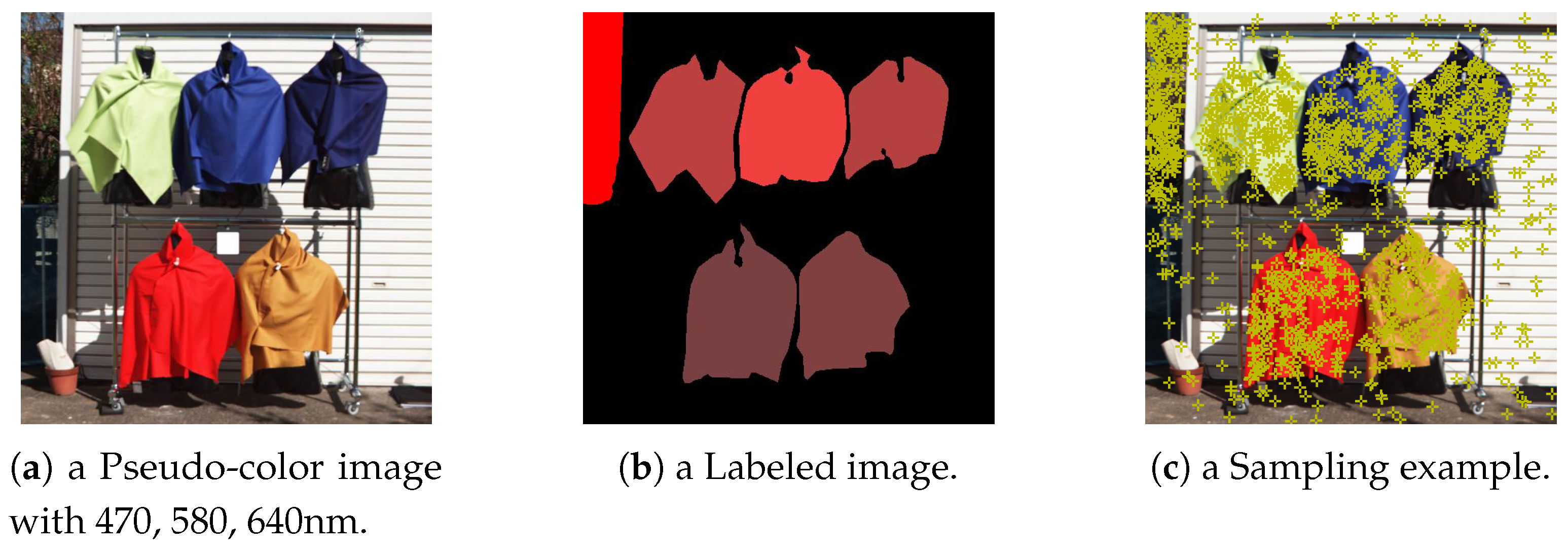 Preprints 150144 g005