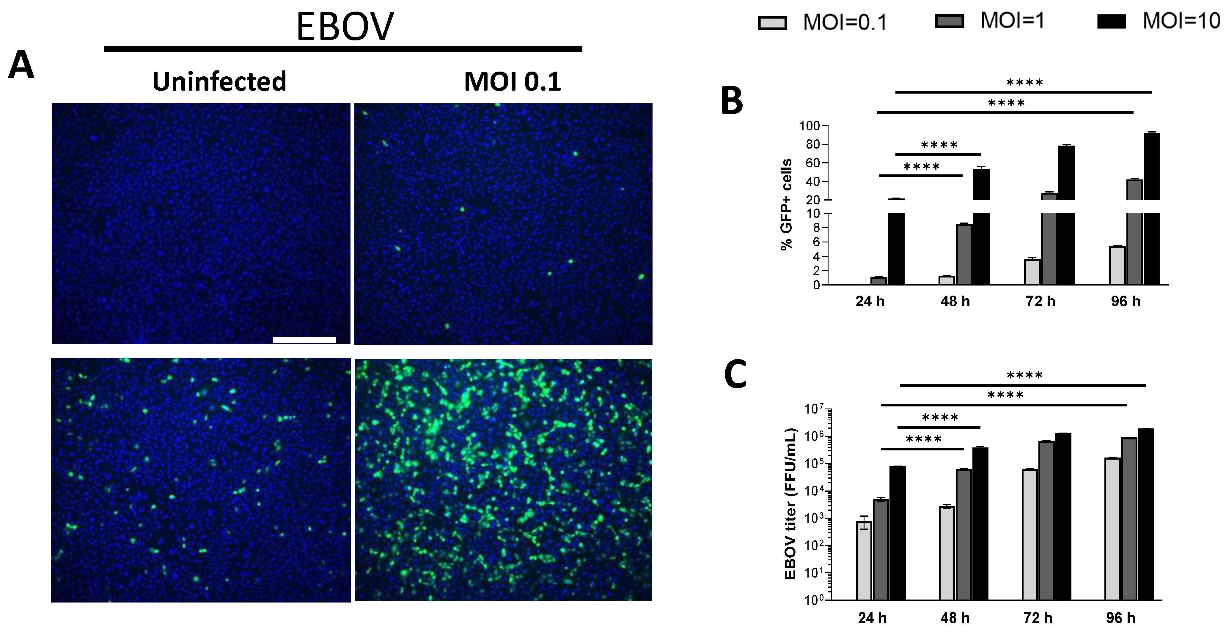Preprints 179878 g001a