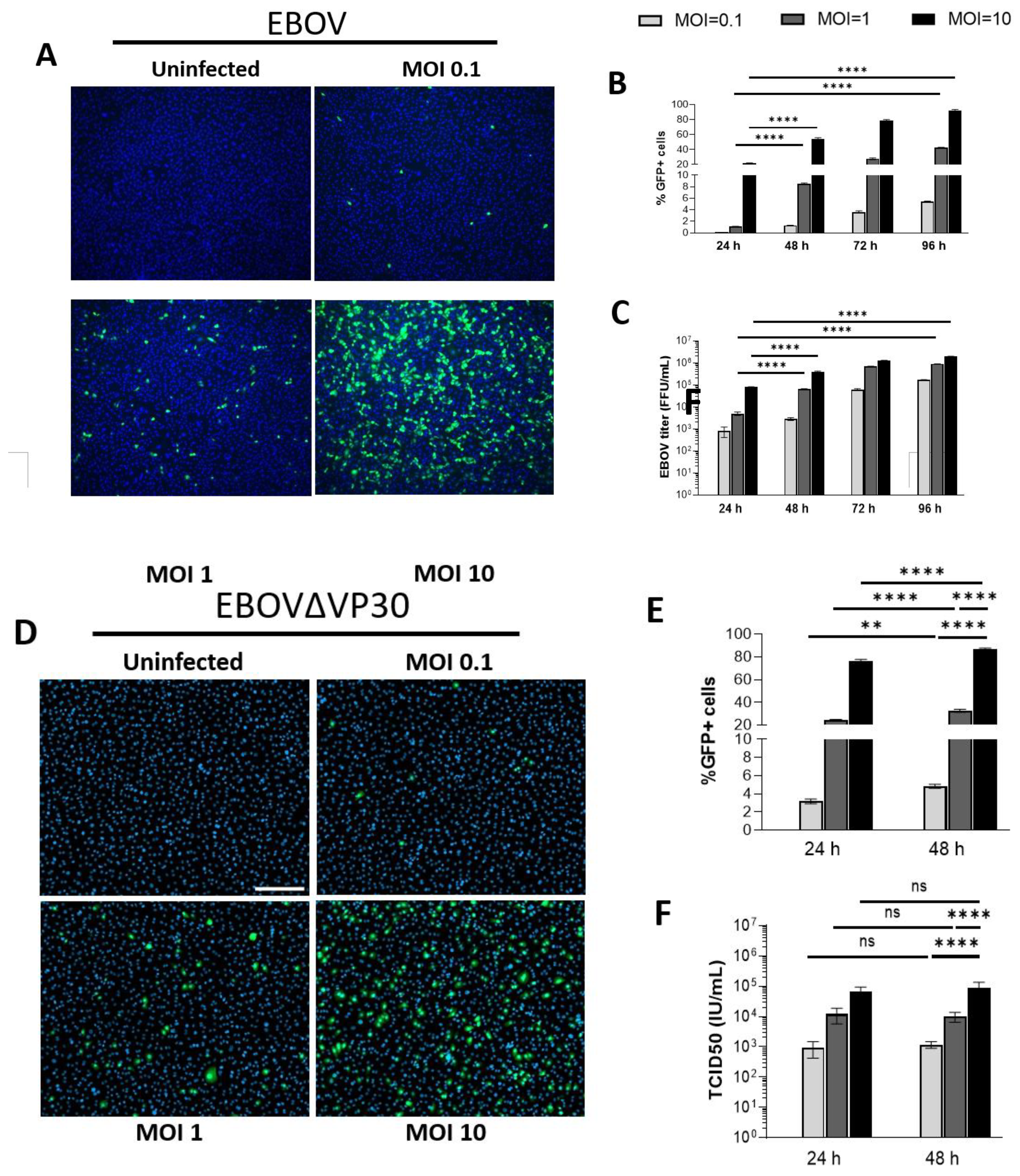 Preprints 179878 g001b