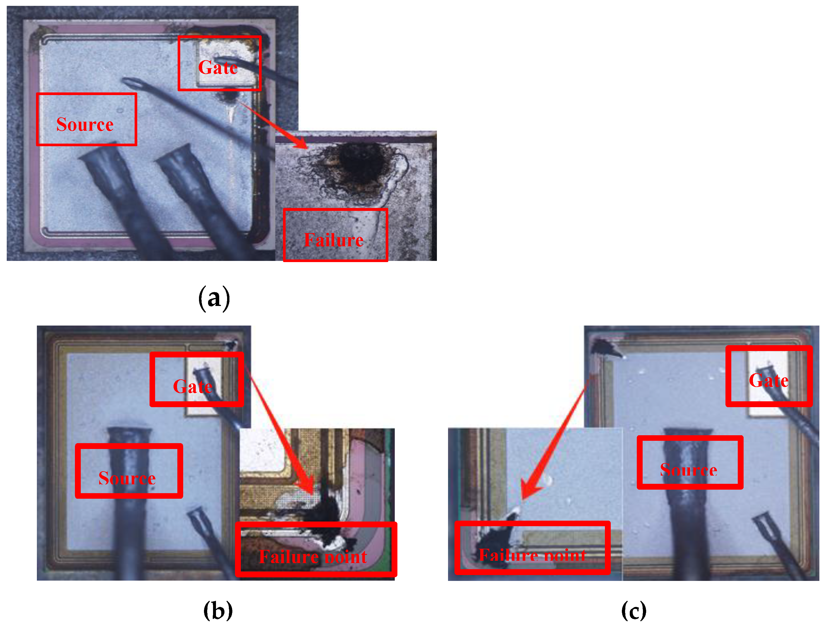 Preprints 106356 g008