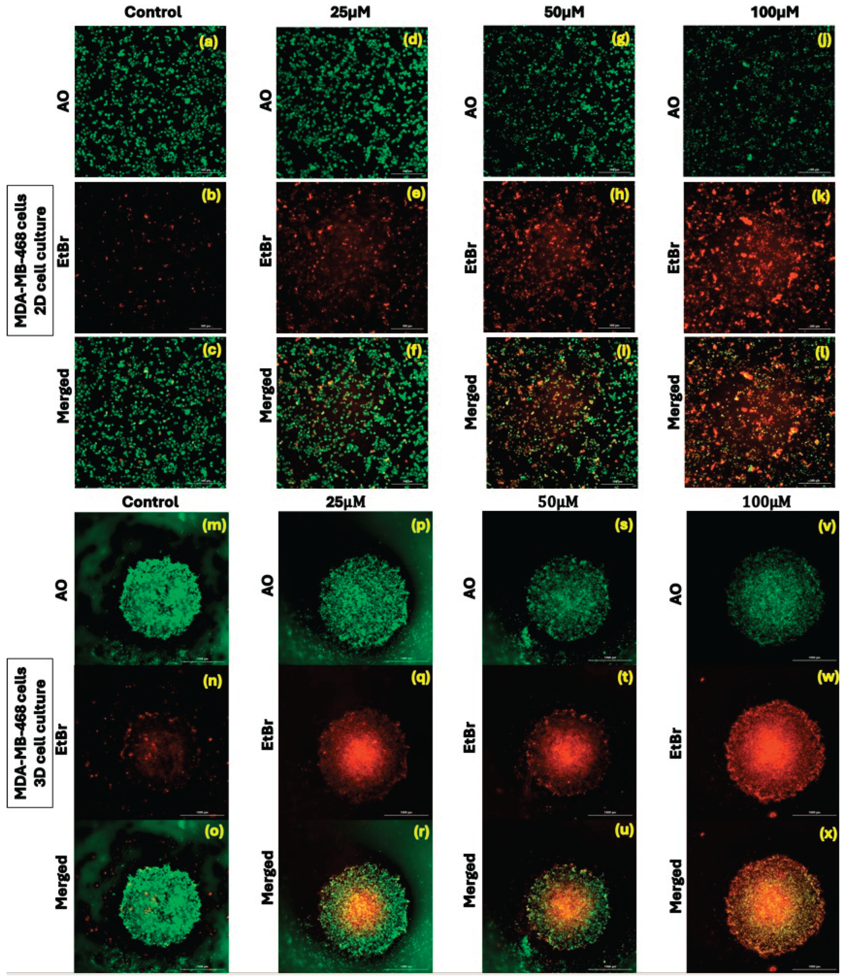 Preprints 184757 g003