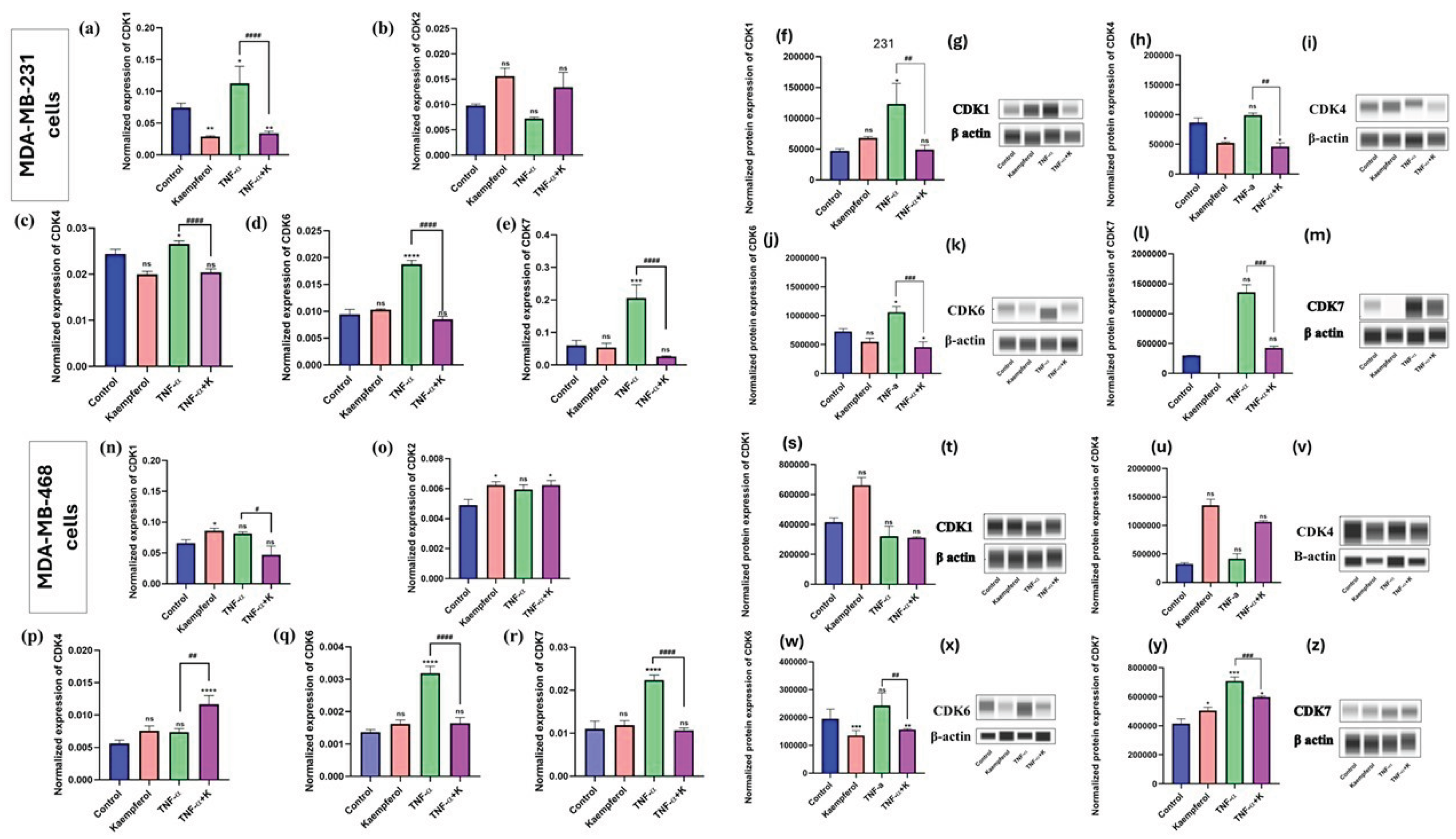 Preprints 184757 g005