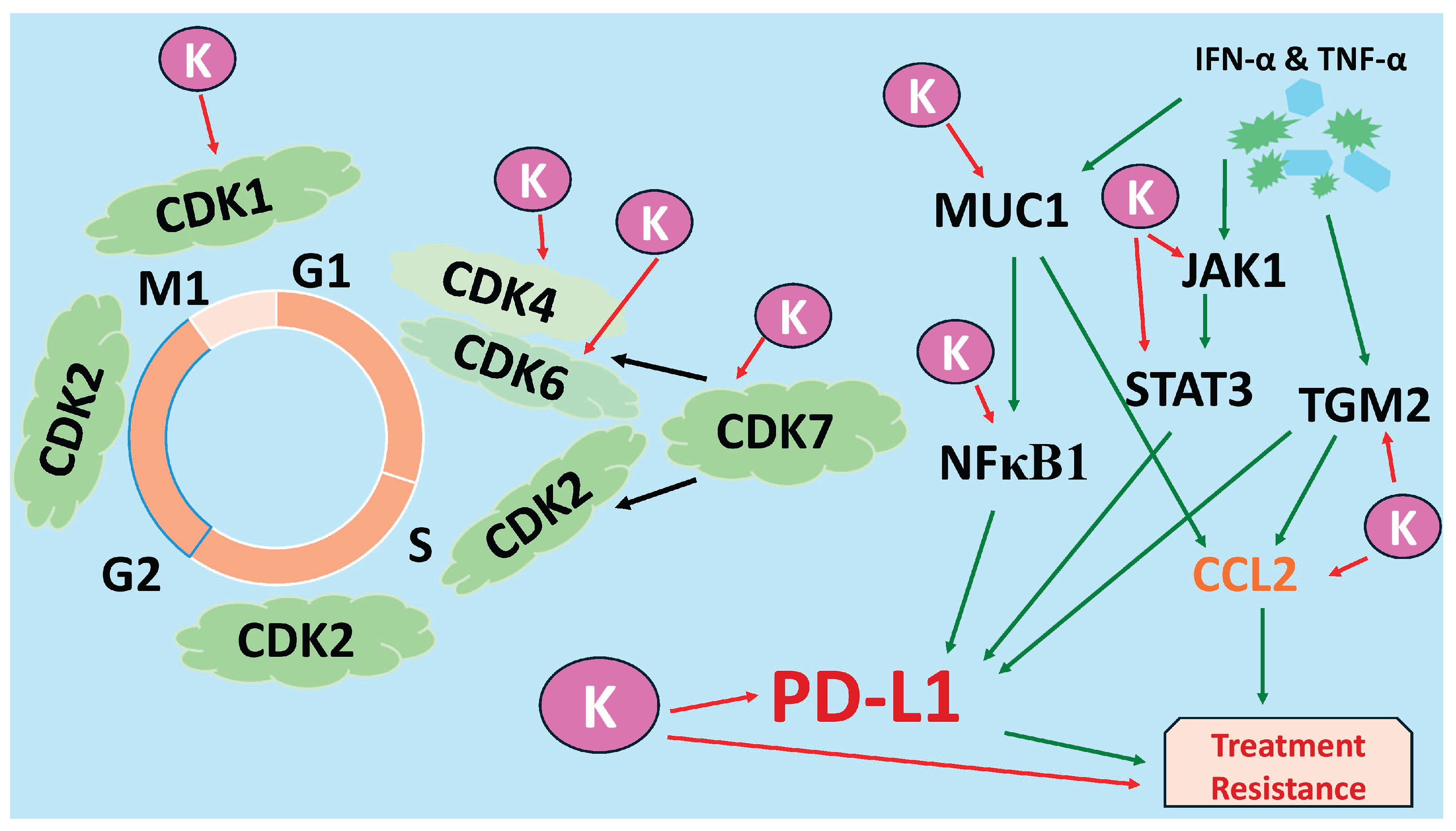 Preprints 184757 g008