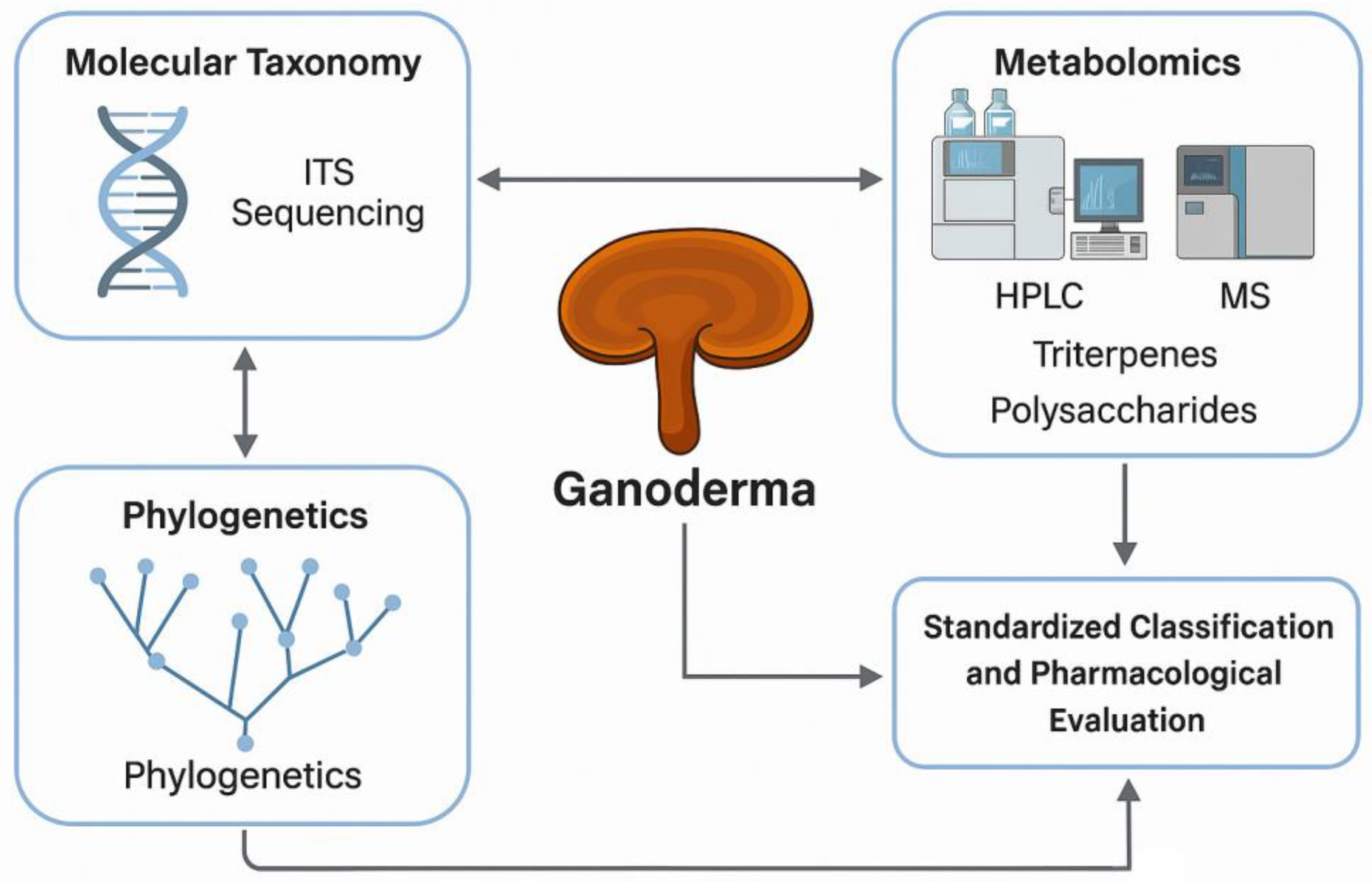 Preprints 182563 g001