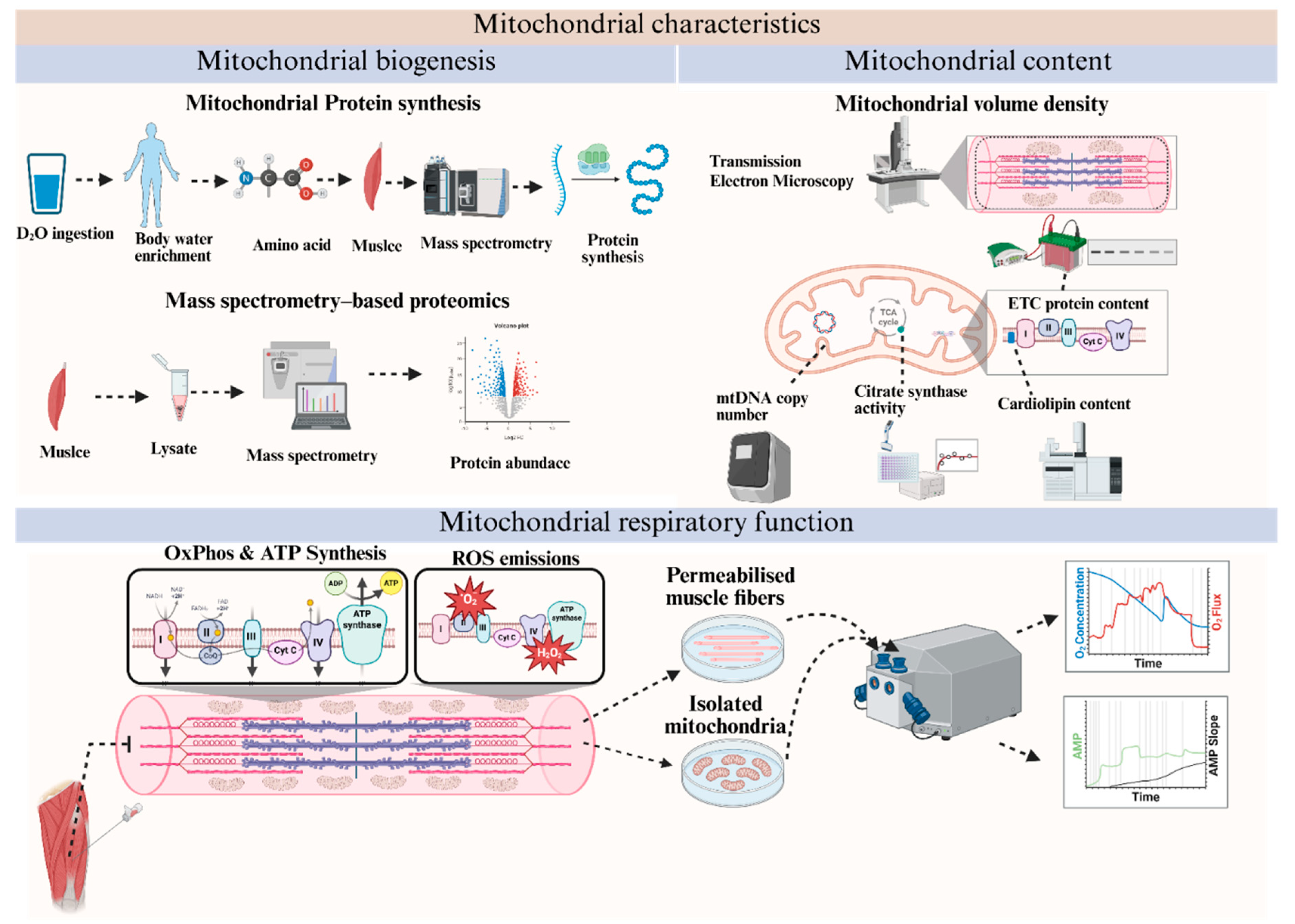 Preprints 223599 g004