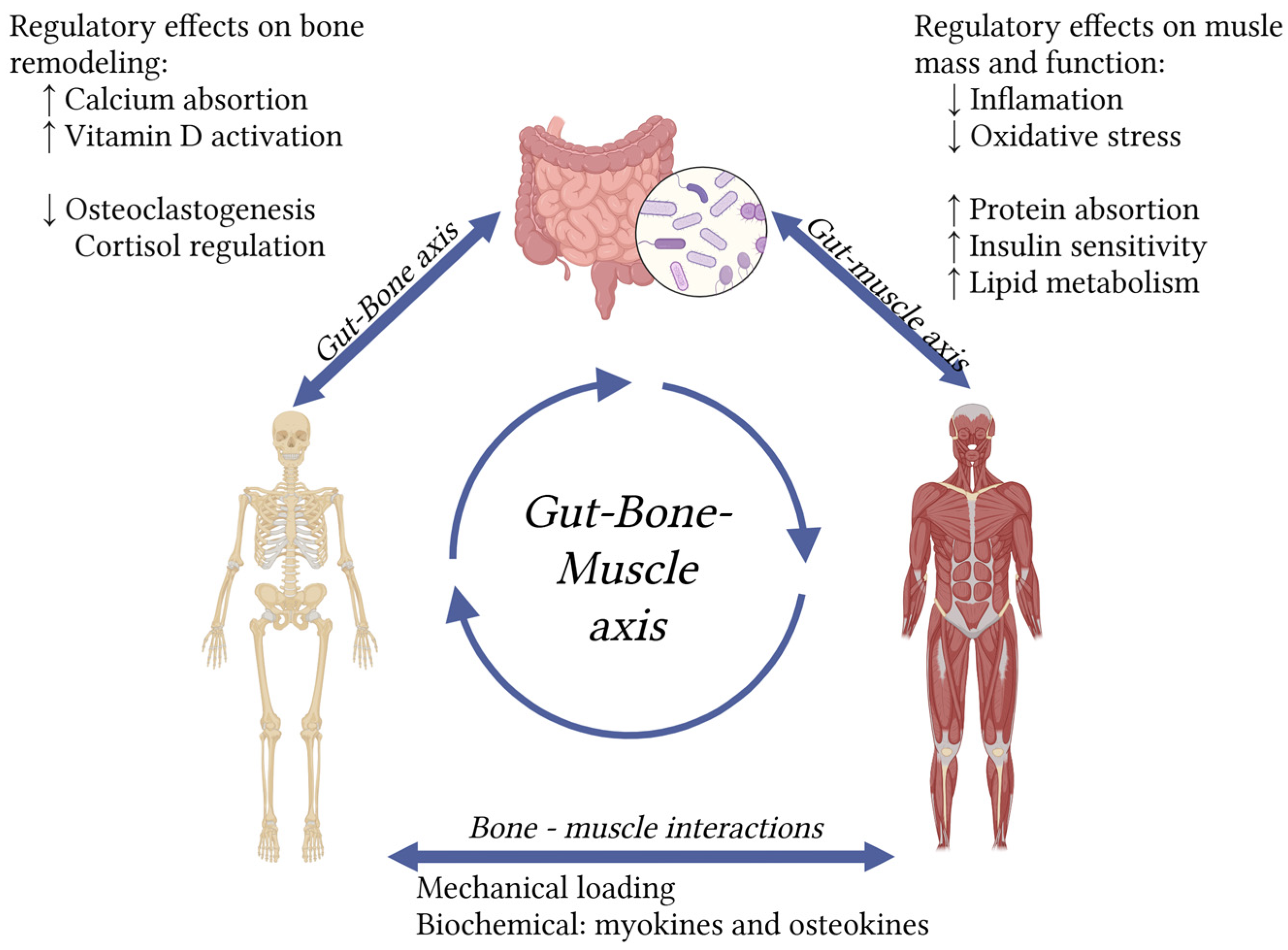 Preprints 164678 g001