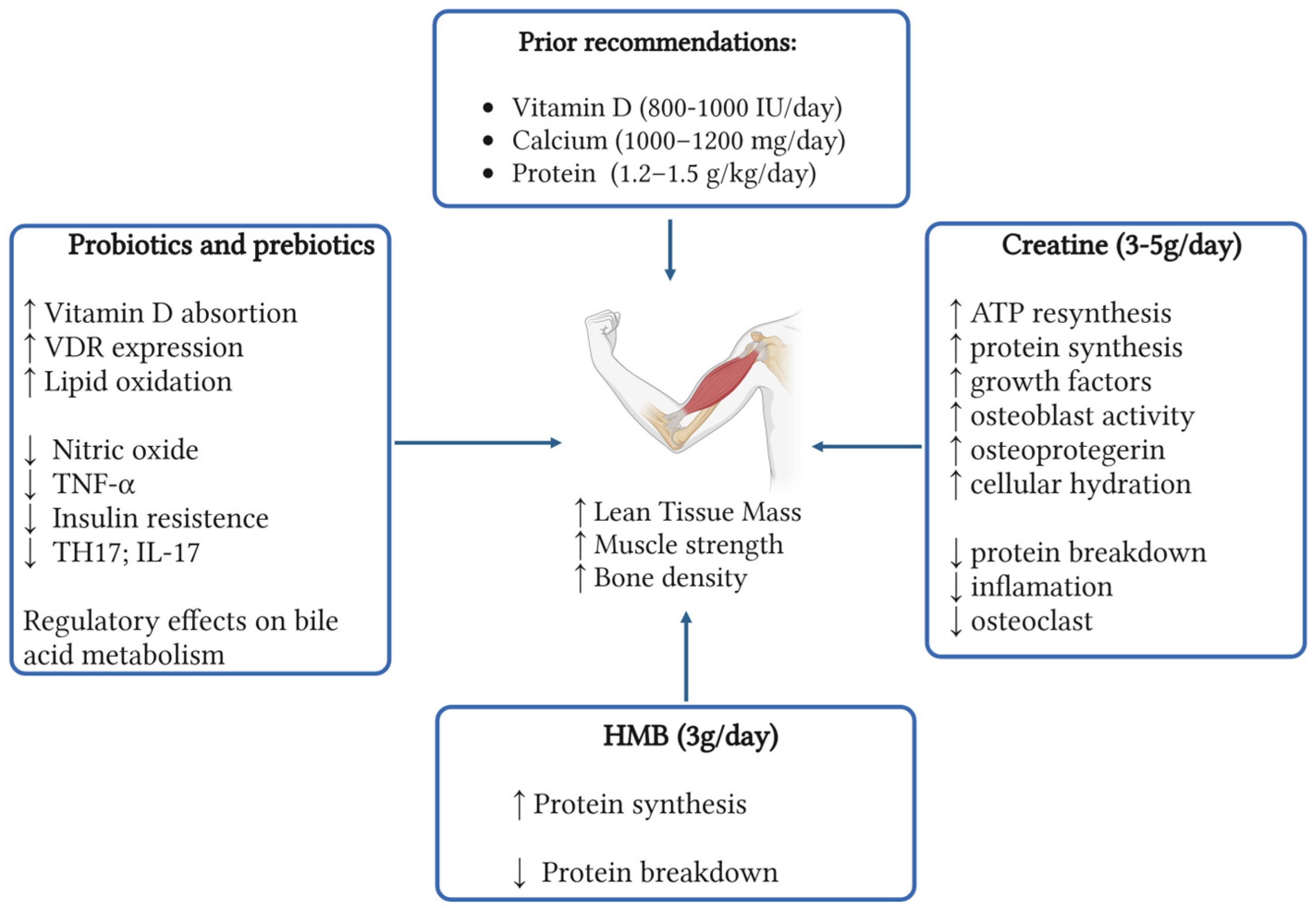 Preprints 164678 g002