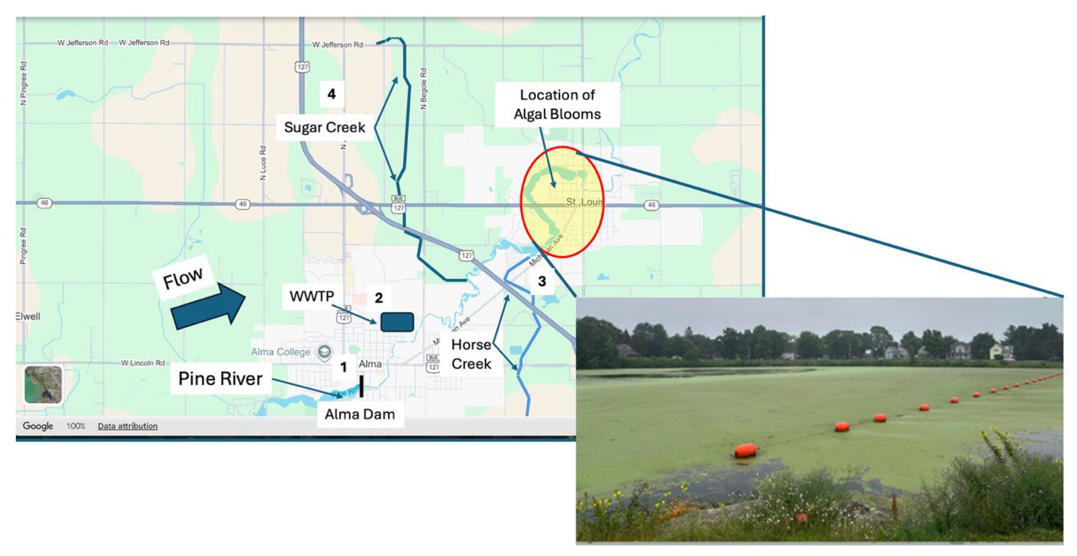 Preprints 186086 g003