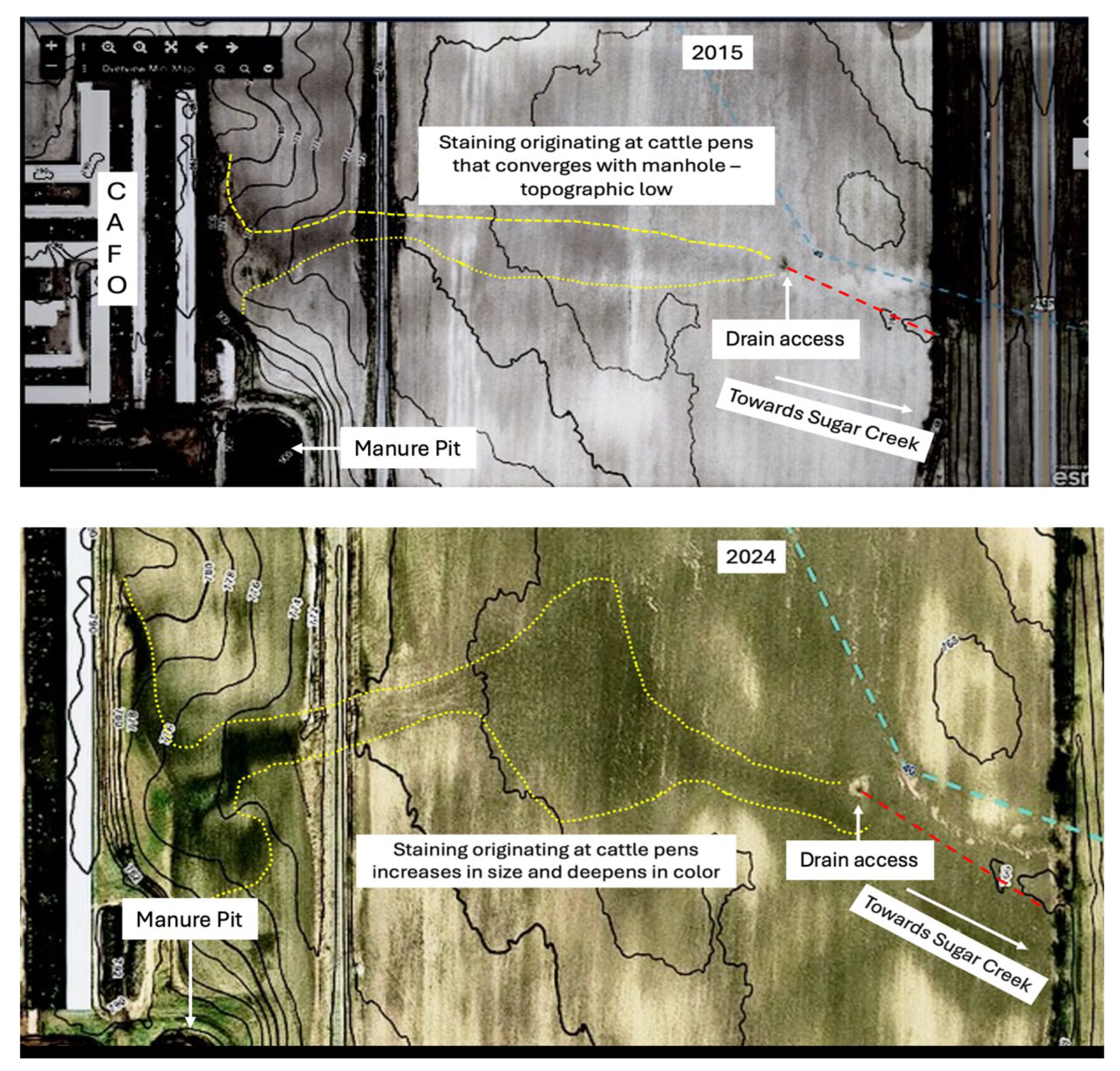 Preprints 186086 g011