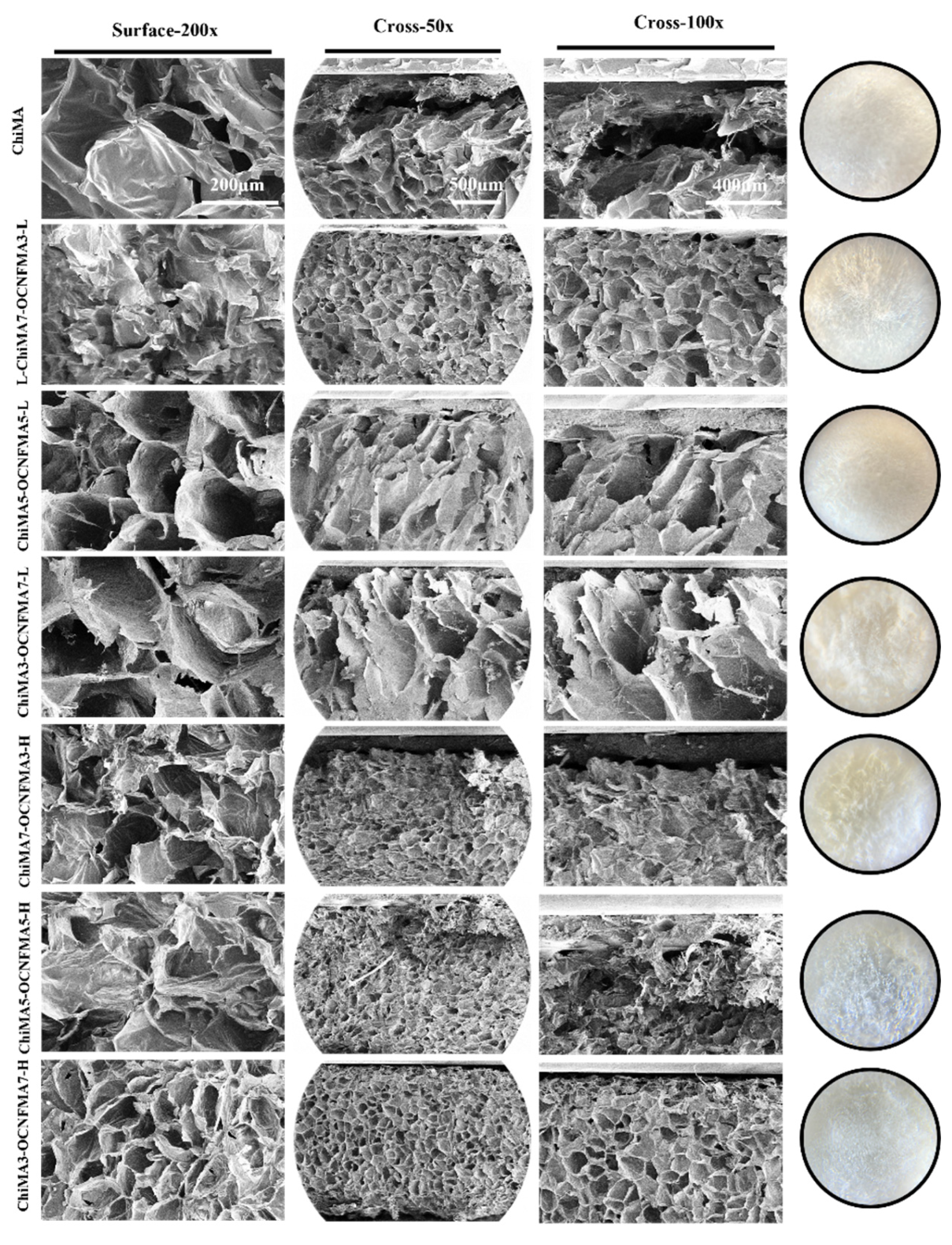 Preprints 202885 g002