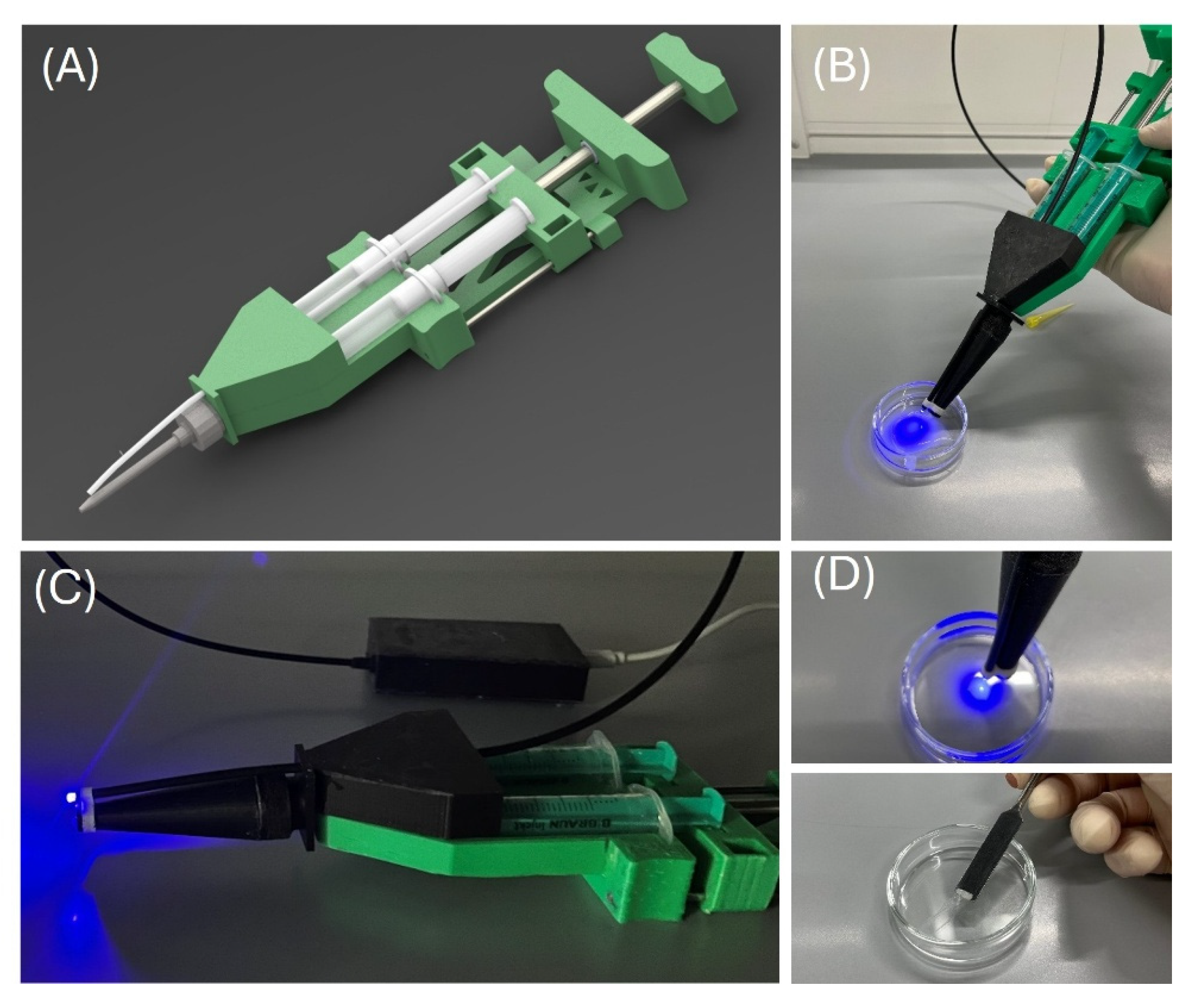 Preprints 202885 g008
