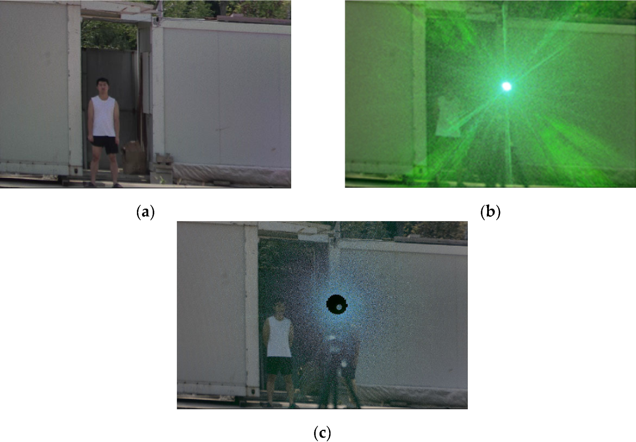 Preprints 202431 g017