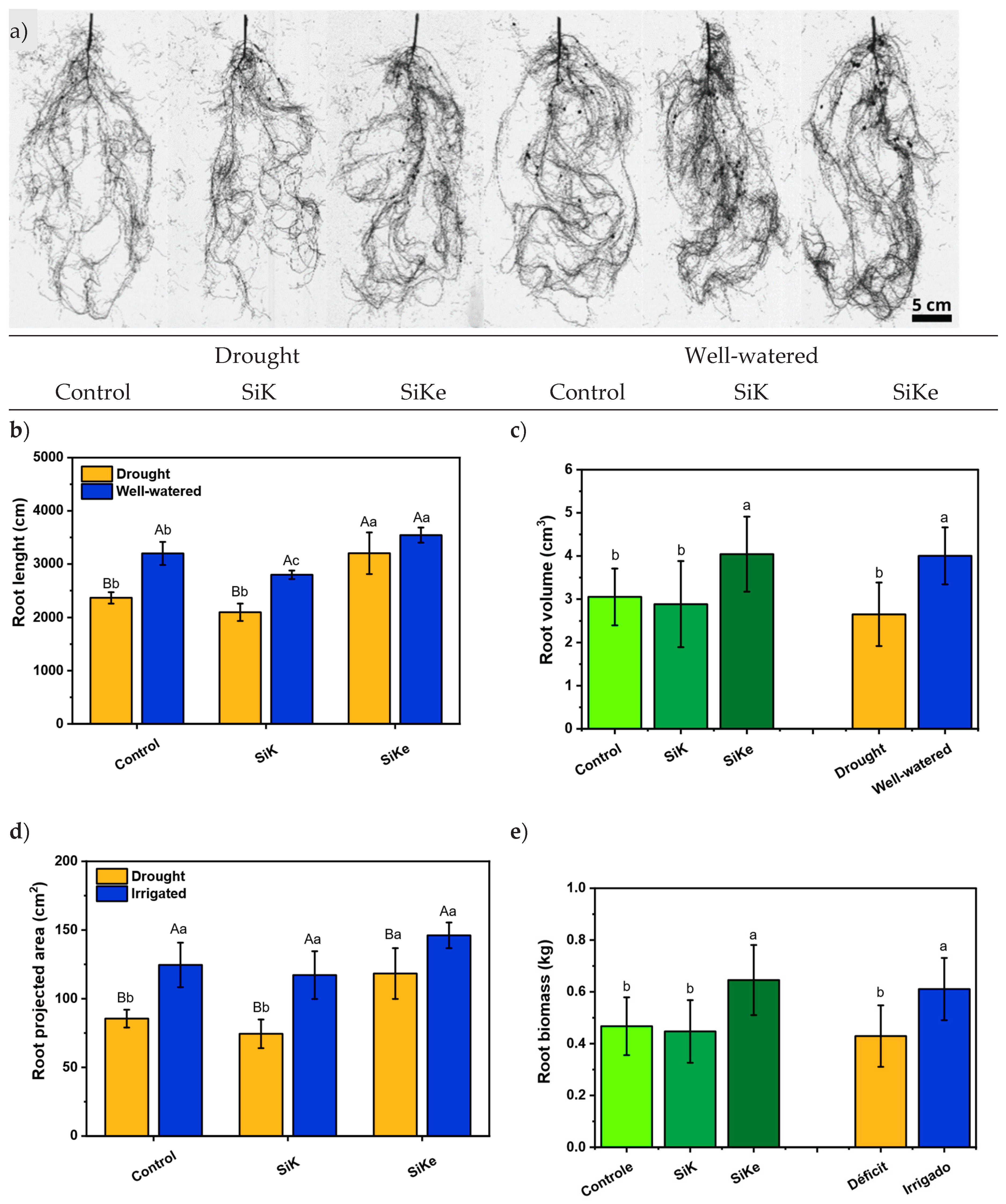 Preprints 185050 g003
