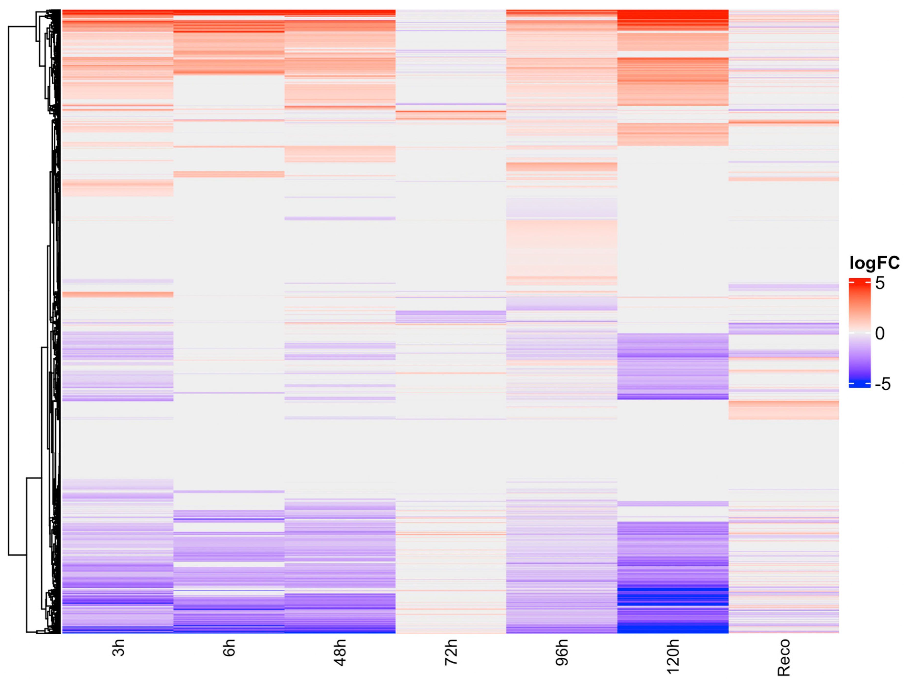 Preprints 74170 g001