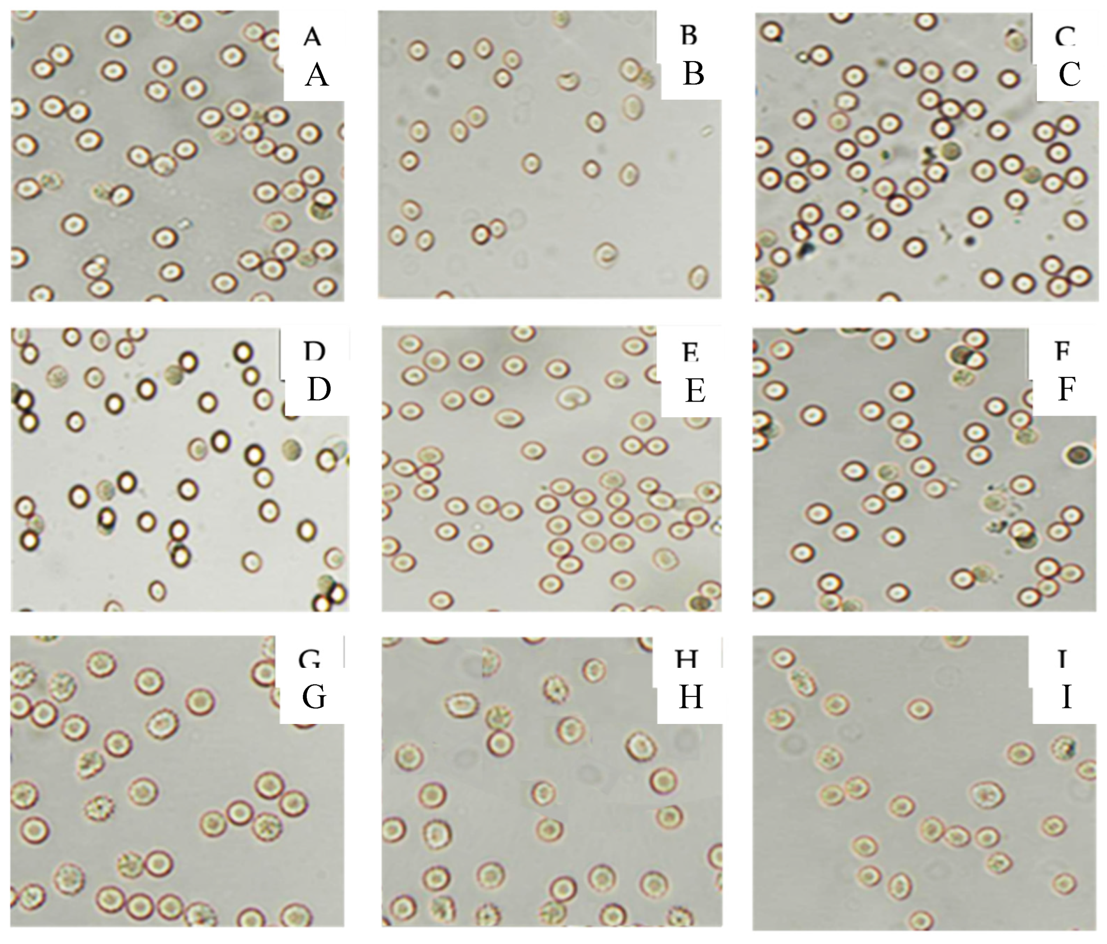 Preprints 191416 g003