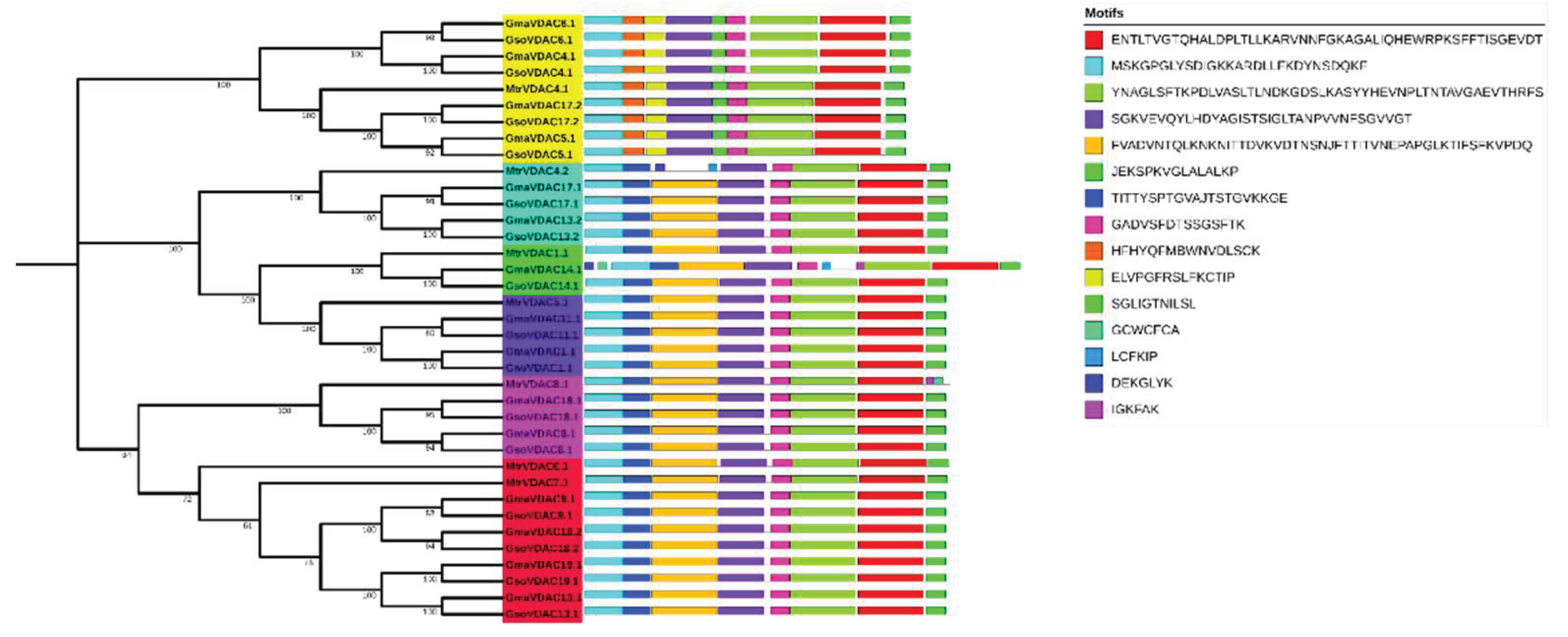 Preprints 161784 g002