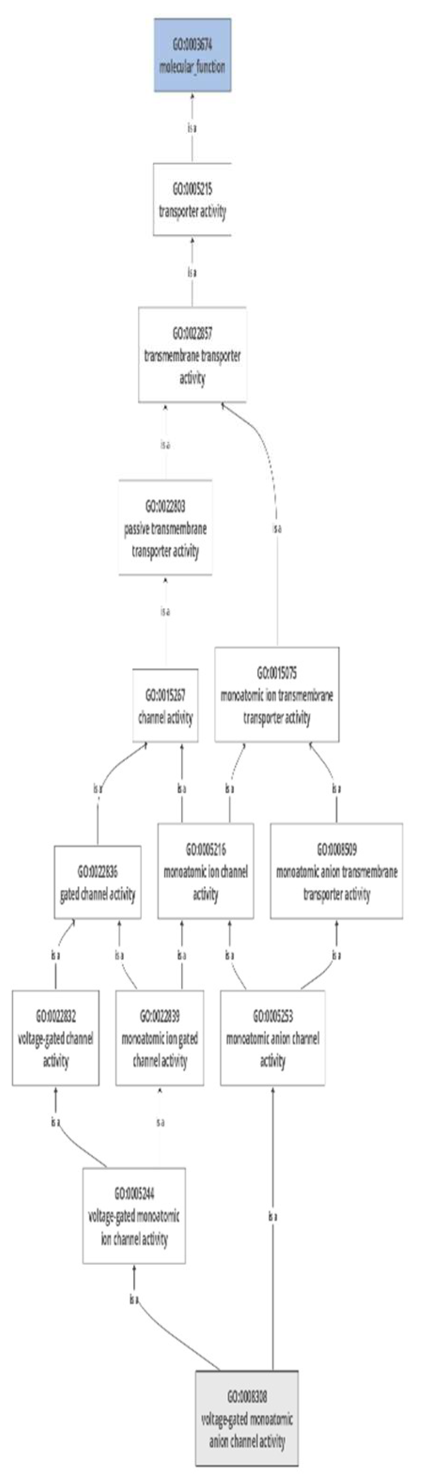 Preprints 161784 g008