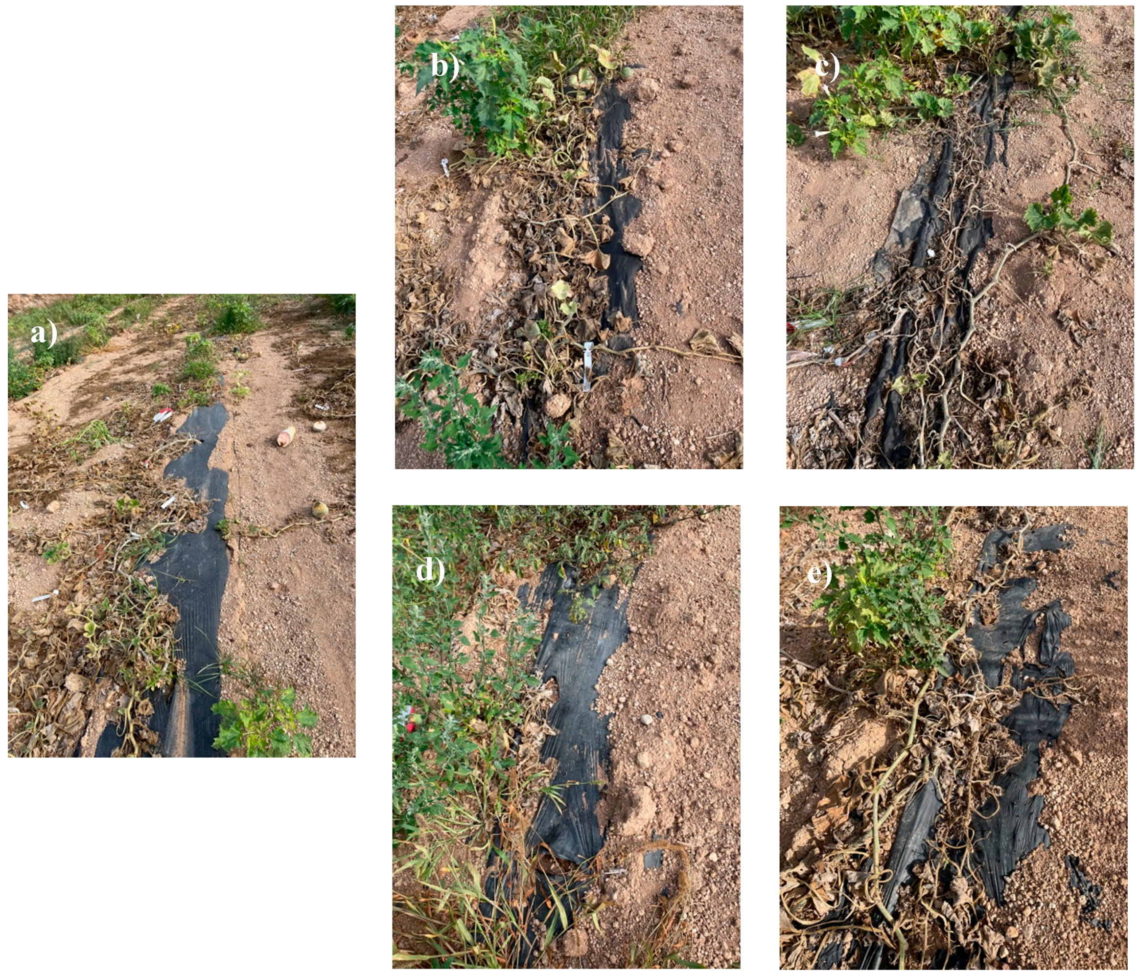 Preprints 149945 g003