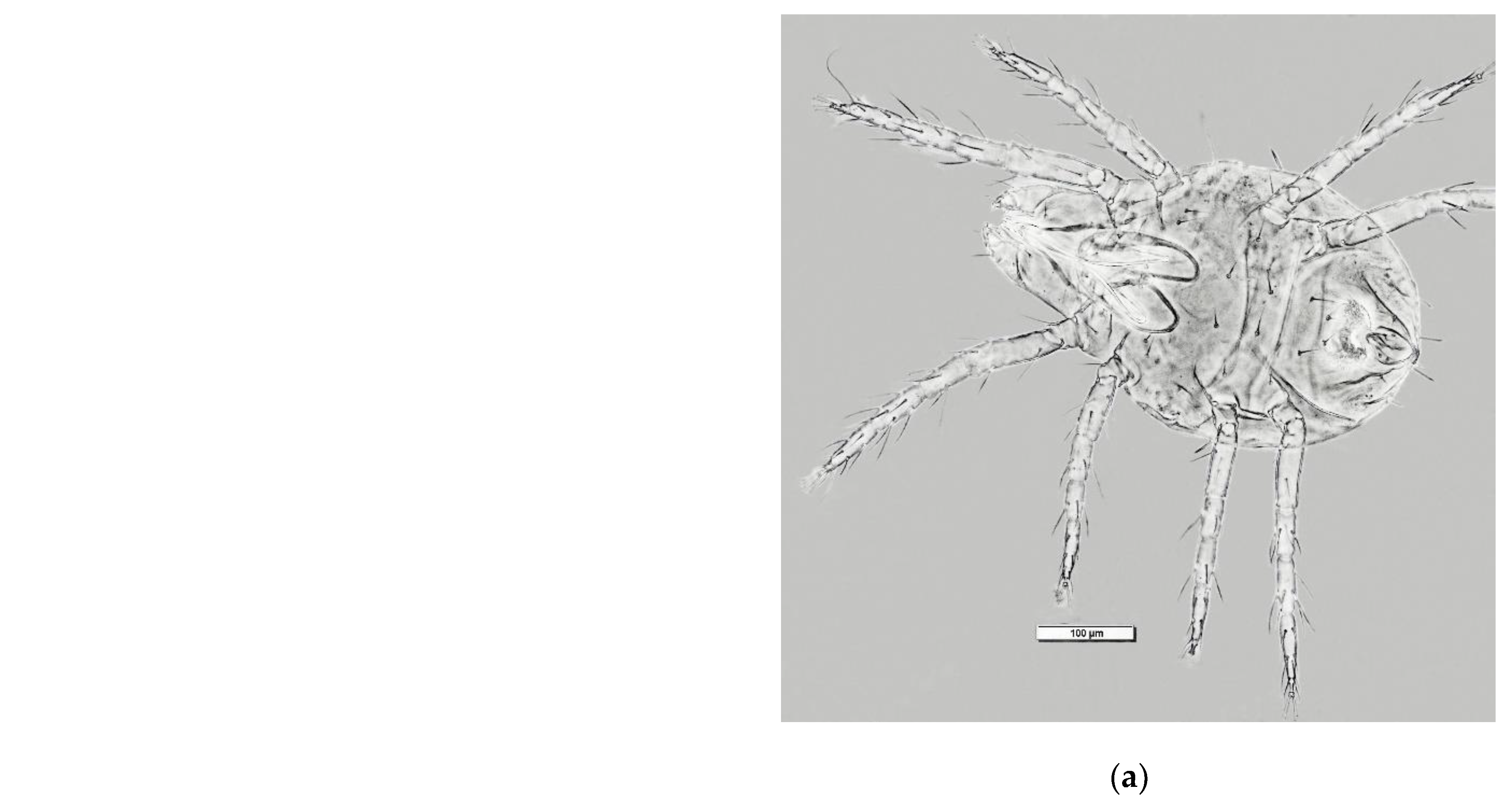 Preprints 208540 g001a