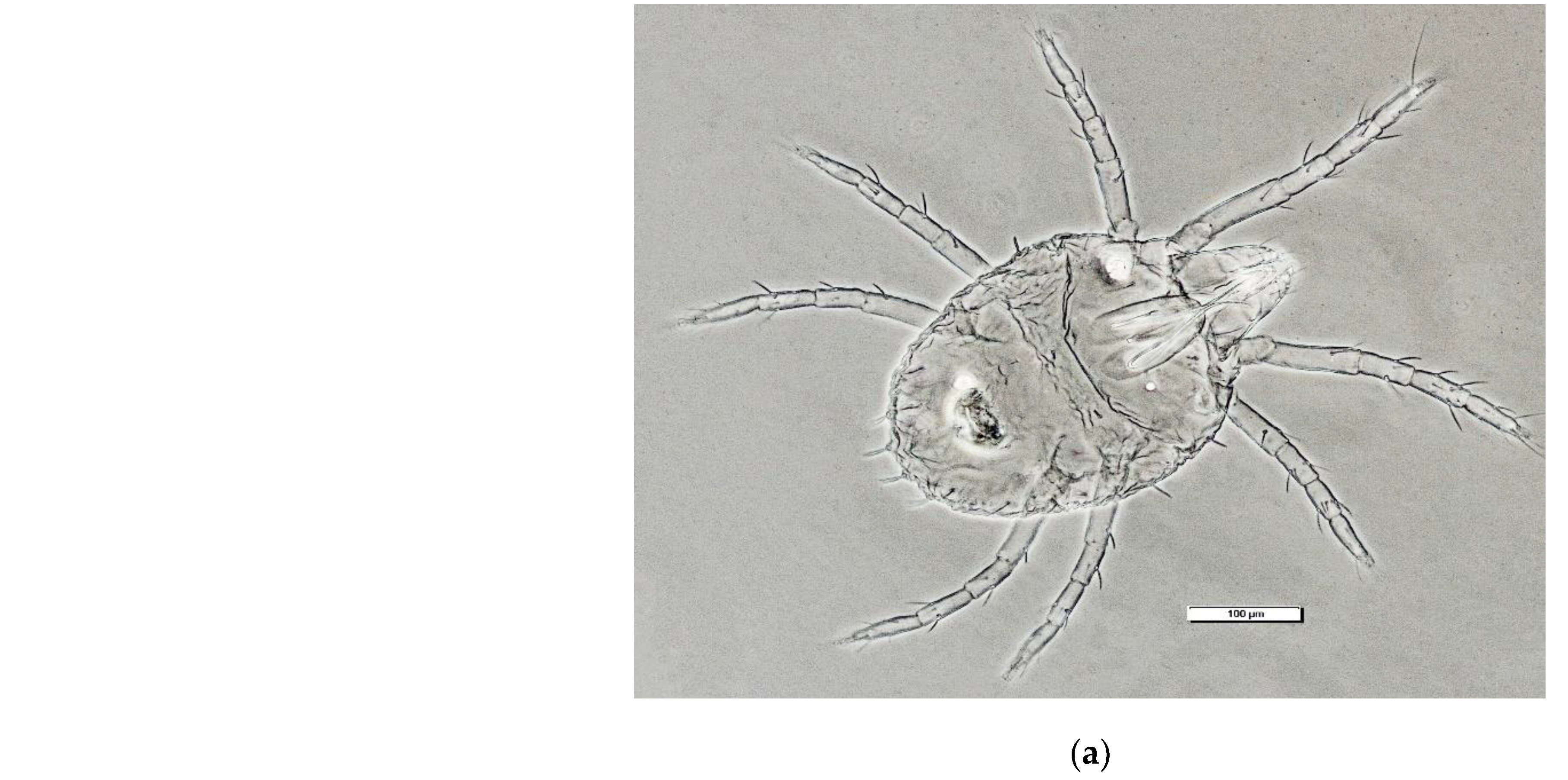 Preprints 208540 g004a
