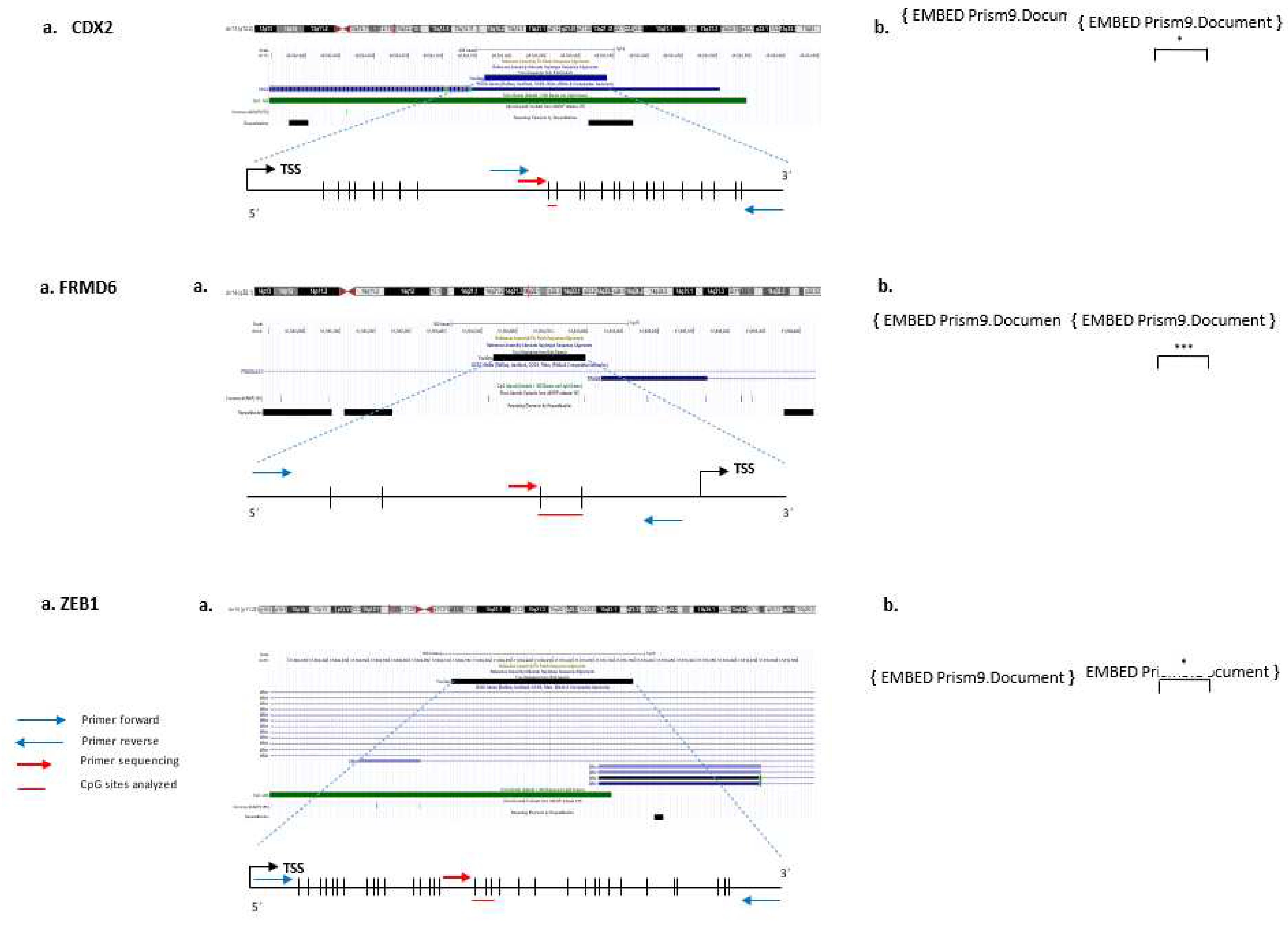 Preprints 79236 g001