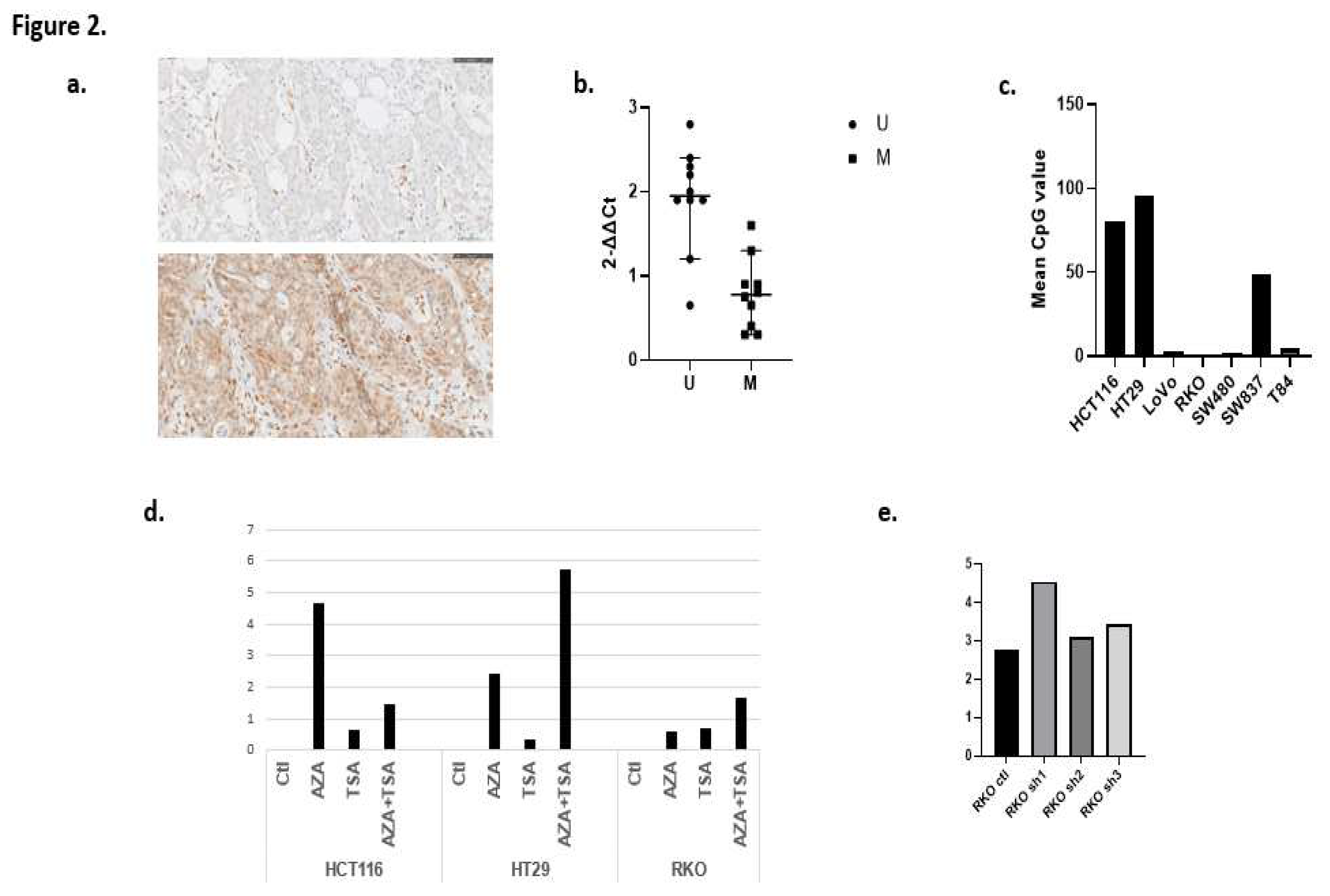 Preprints 79236 g002