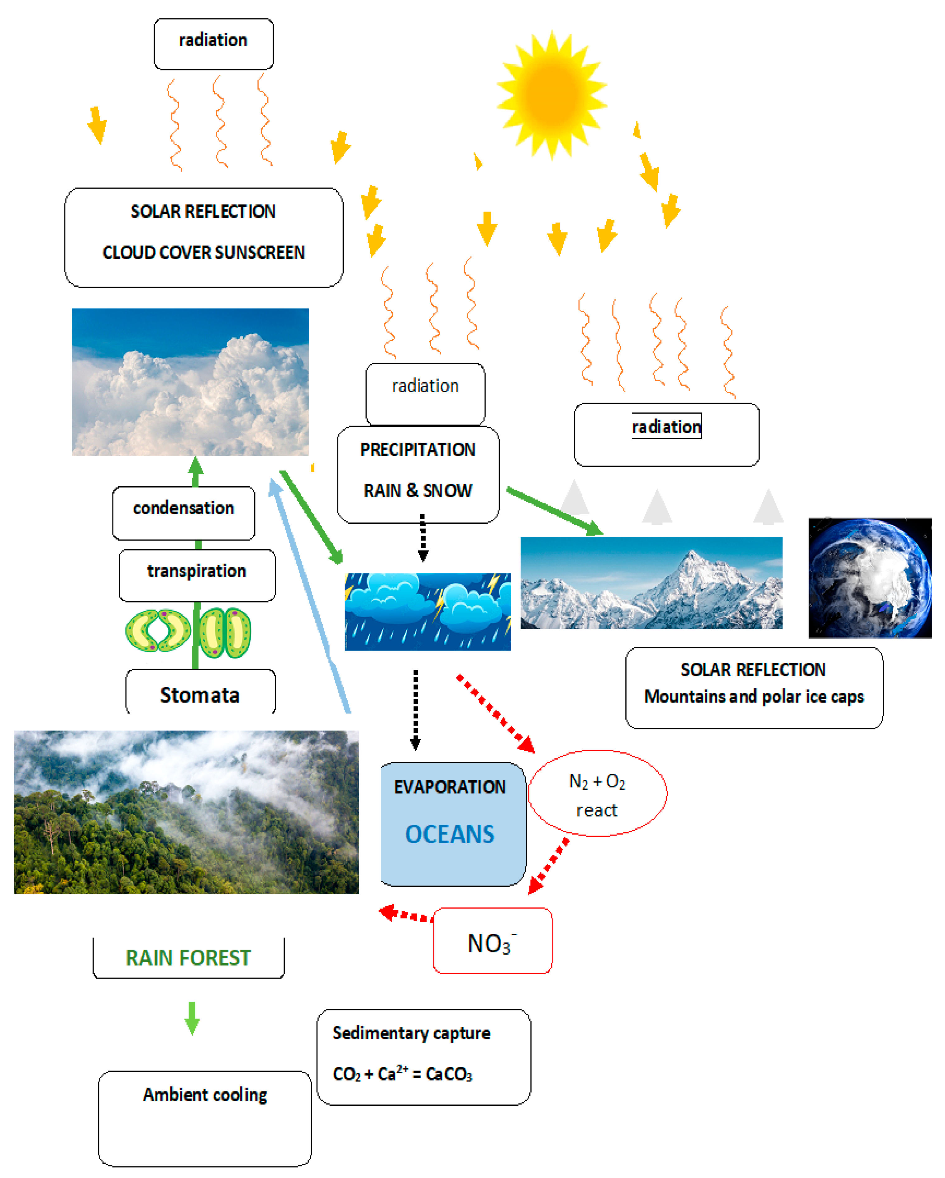 Preprints 107481 g003