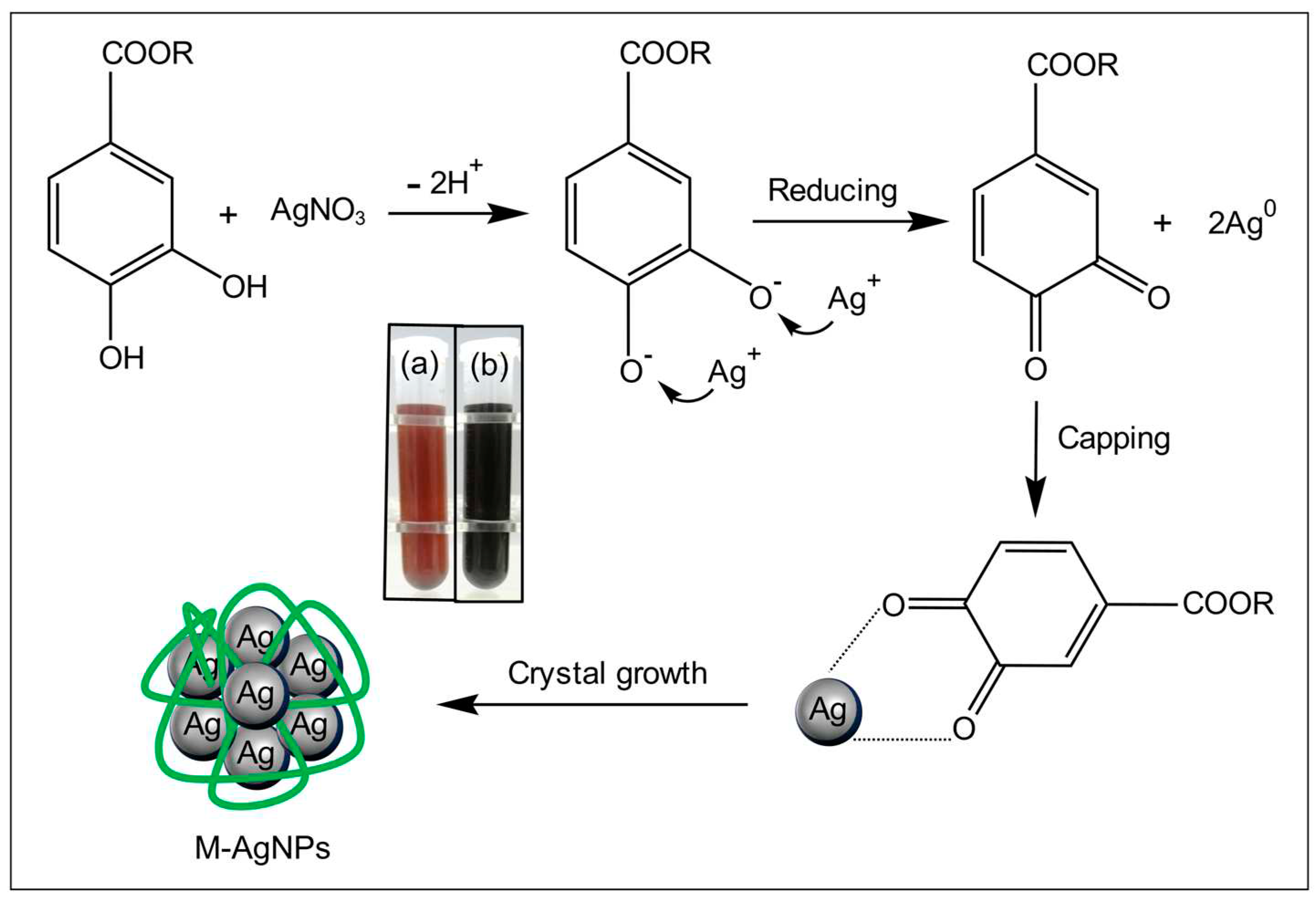 Preprints 90438 g001