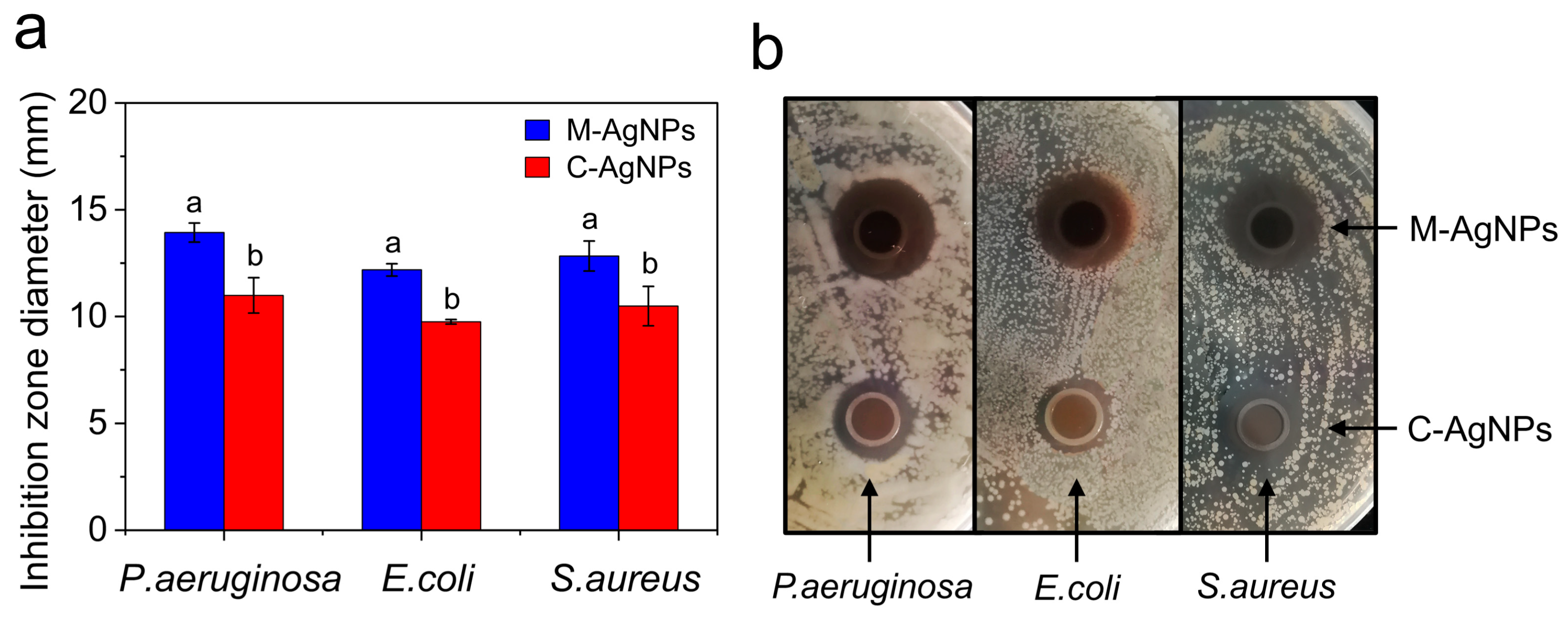Preprints 90438 g008