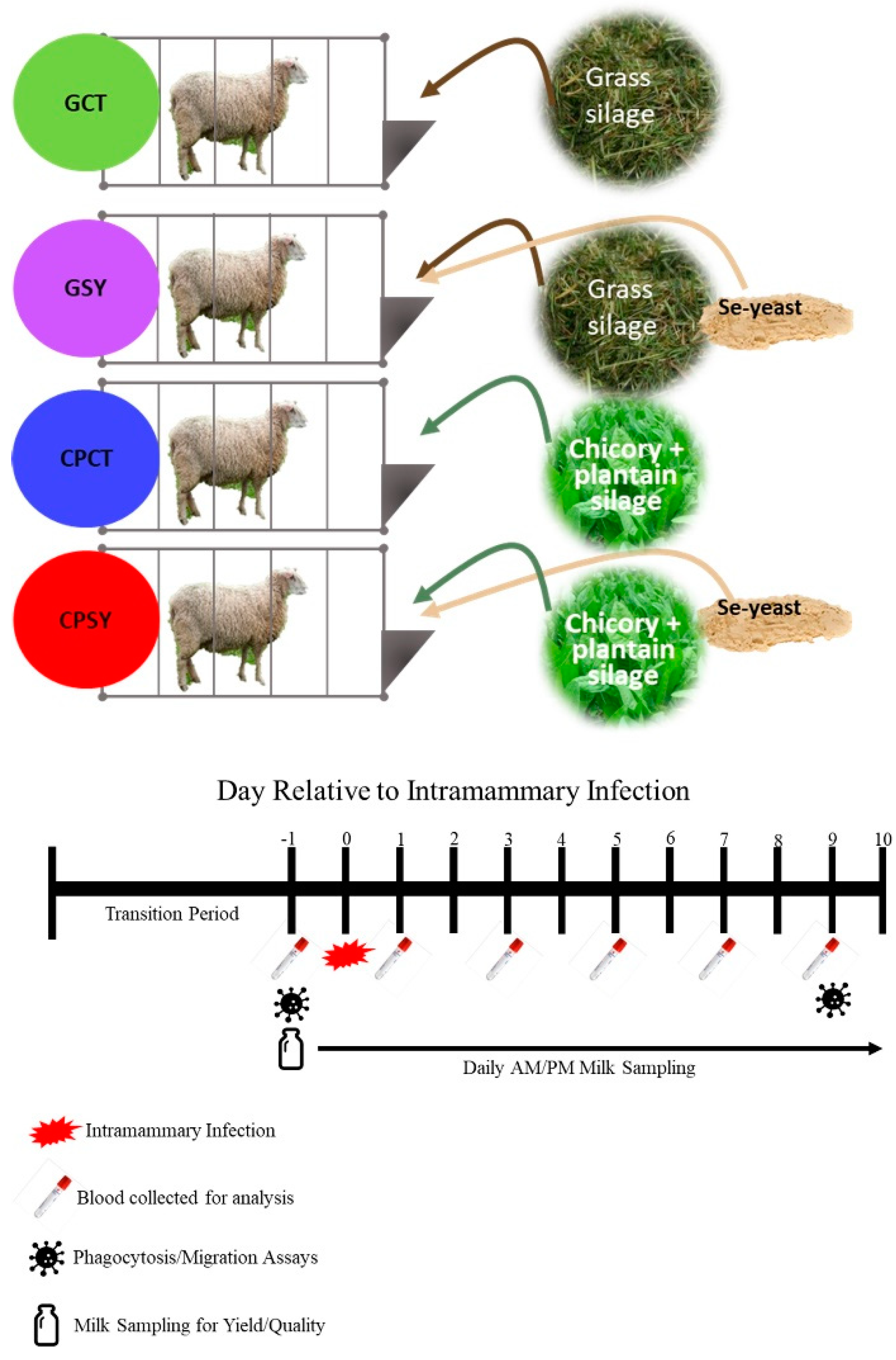 Preprints 156200 g001