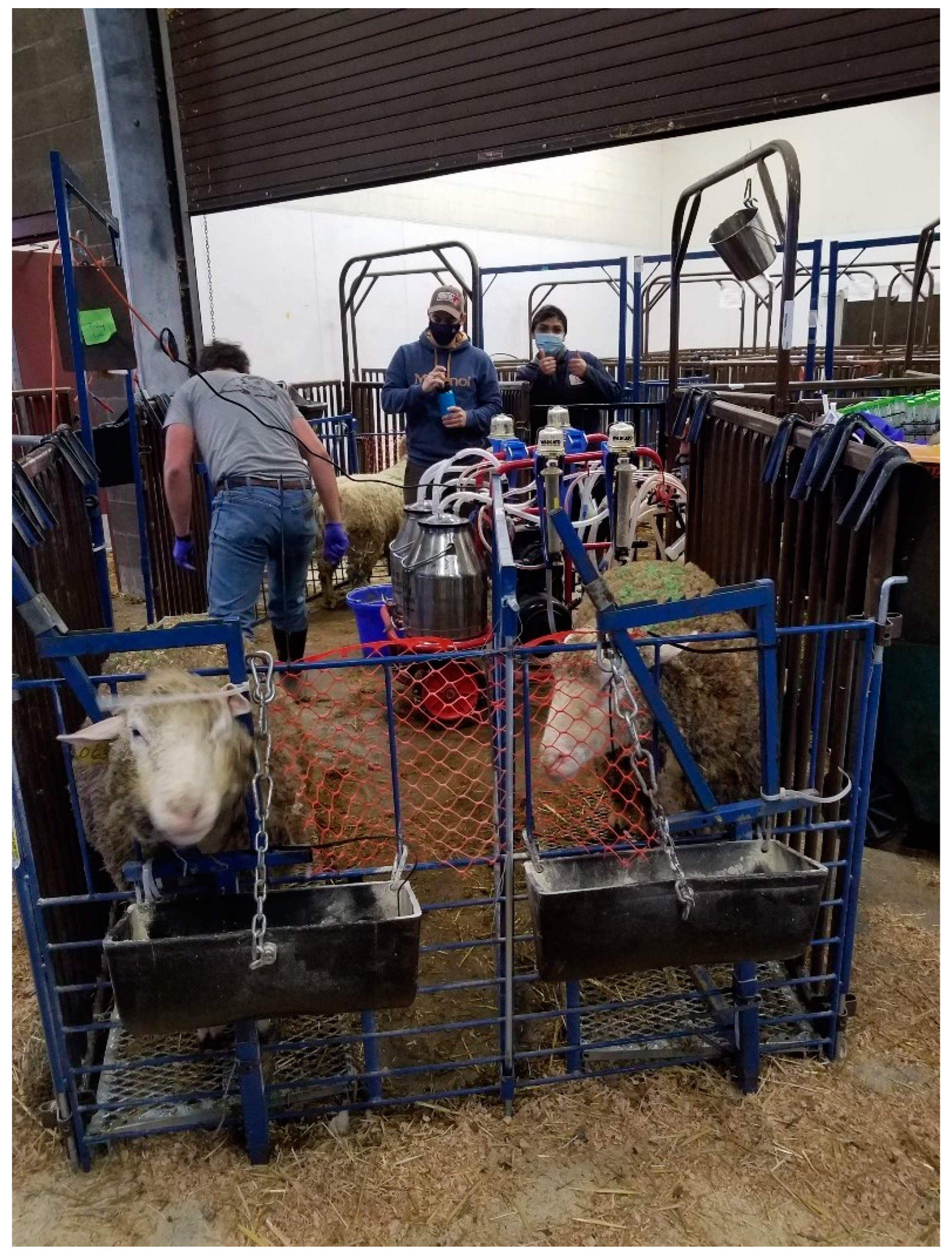 Preprints 156200 g0a1