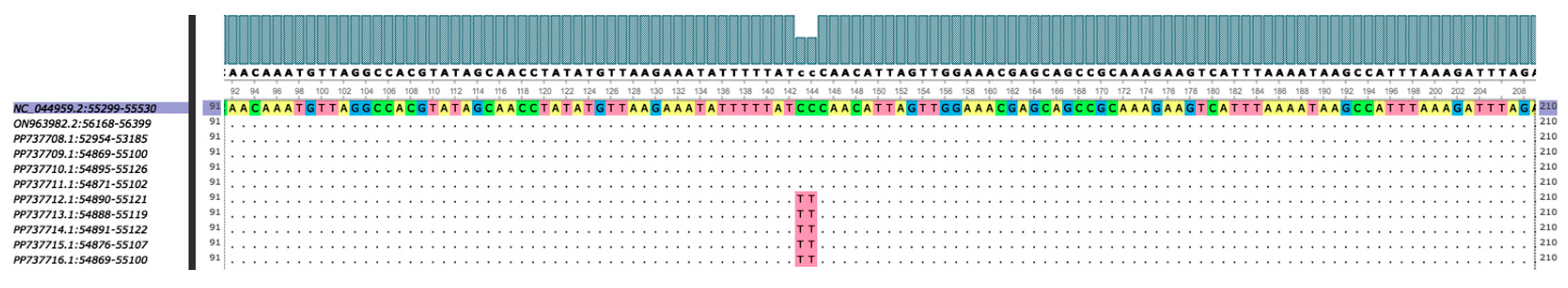 Preprints 152116 g007