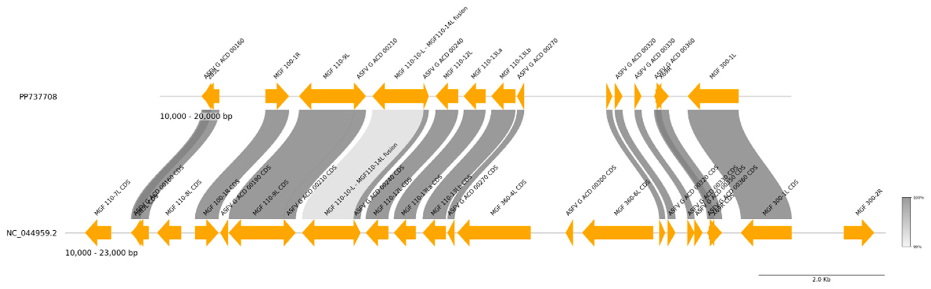 Preprints 152116 g008