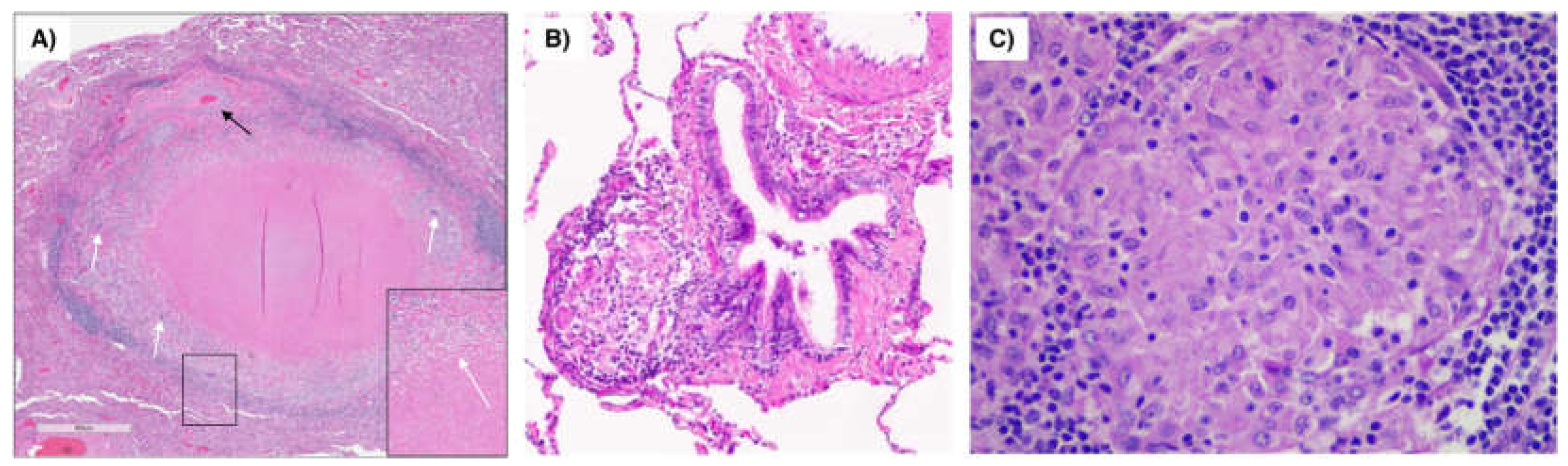 Preprints 69328 g001
