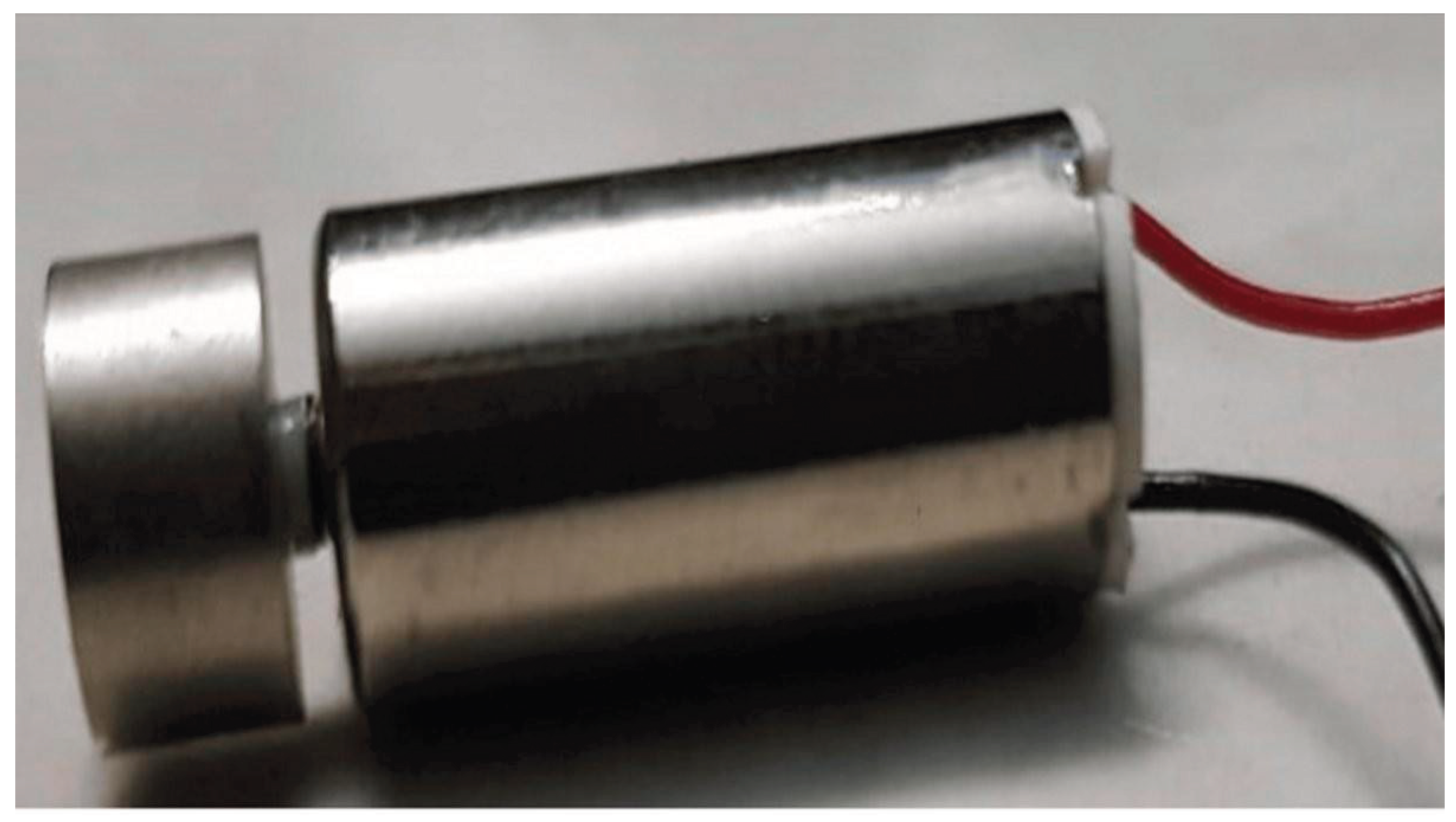 Preprints 177584 g006