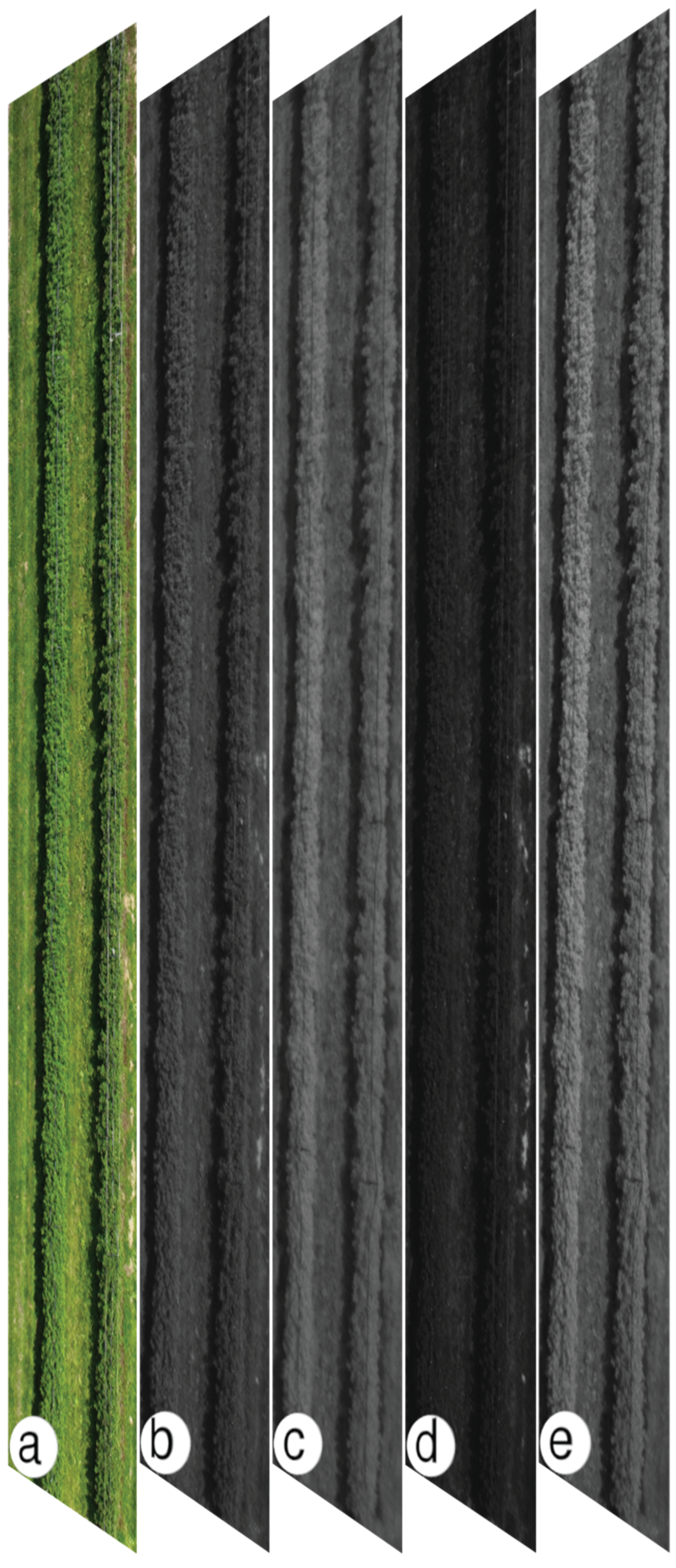 Preprints 209459 g004