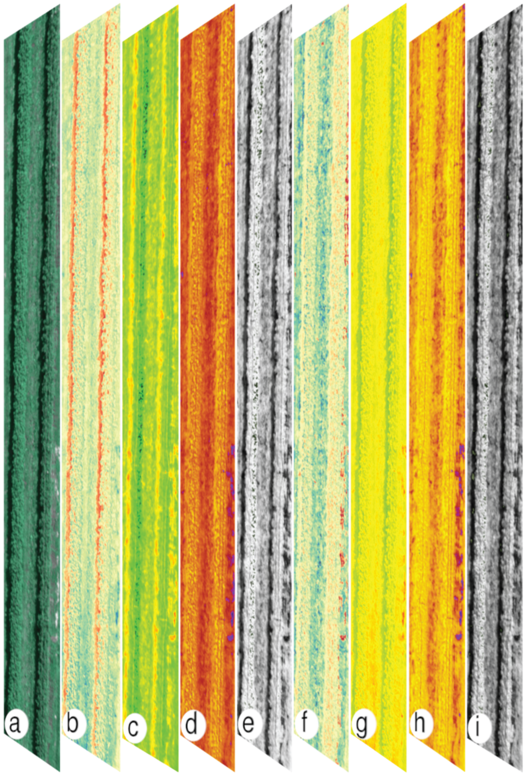Preprints 209459 g006