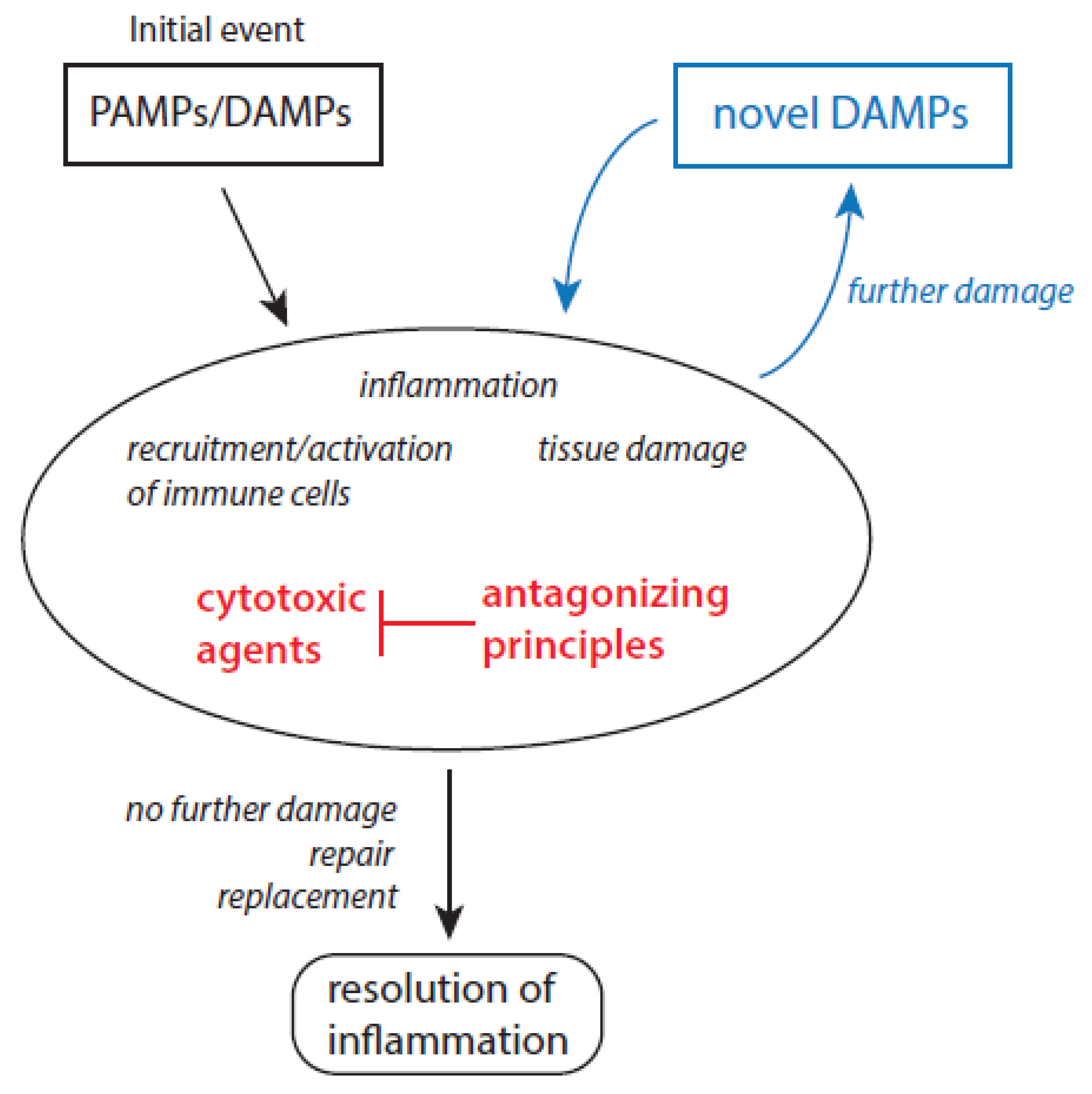 レイ Oxidant-Based Cytotoxic Agents During Aging[v1] | Preprints.org