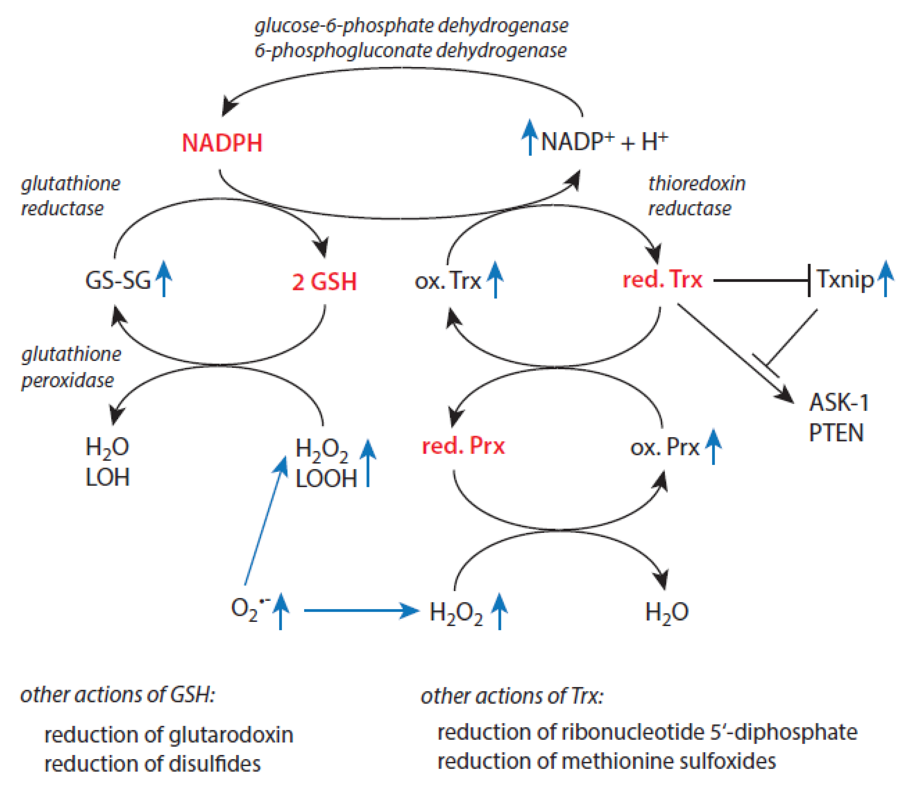 Preprints 151611 g003