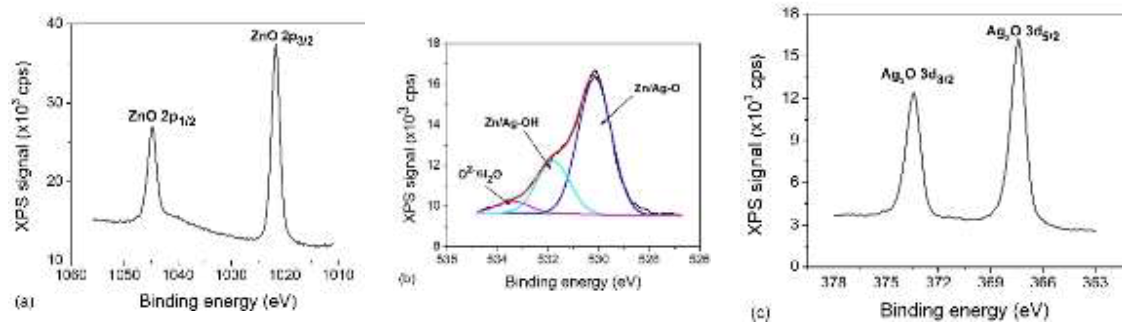 Preprints 198923 g004