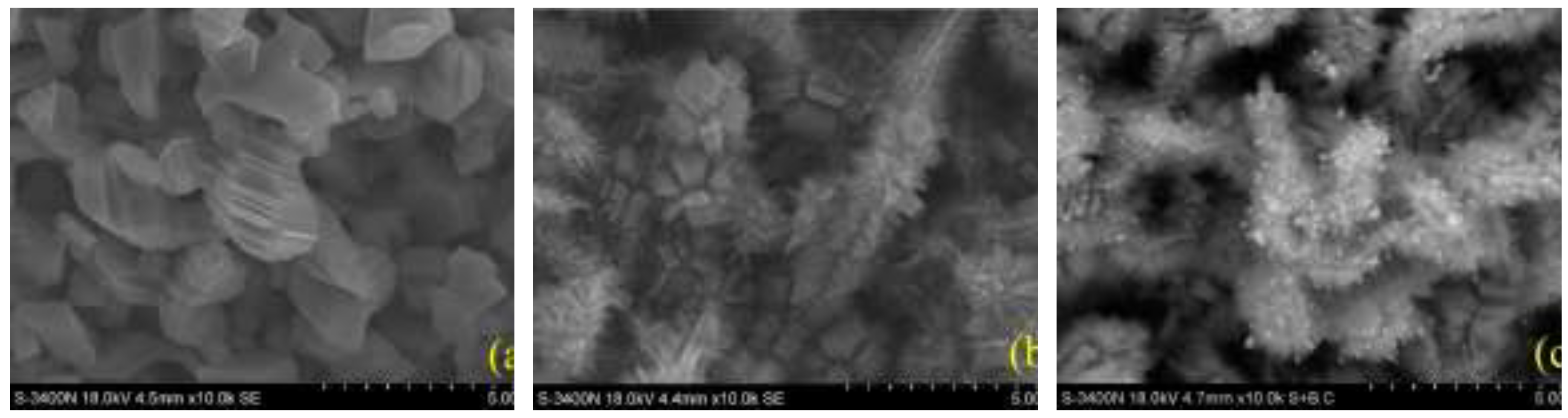 Preprints 198923 g006