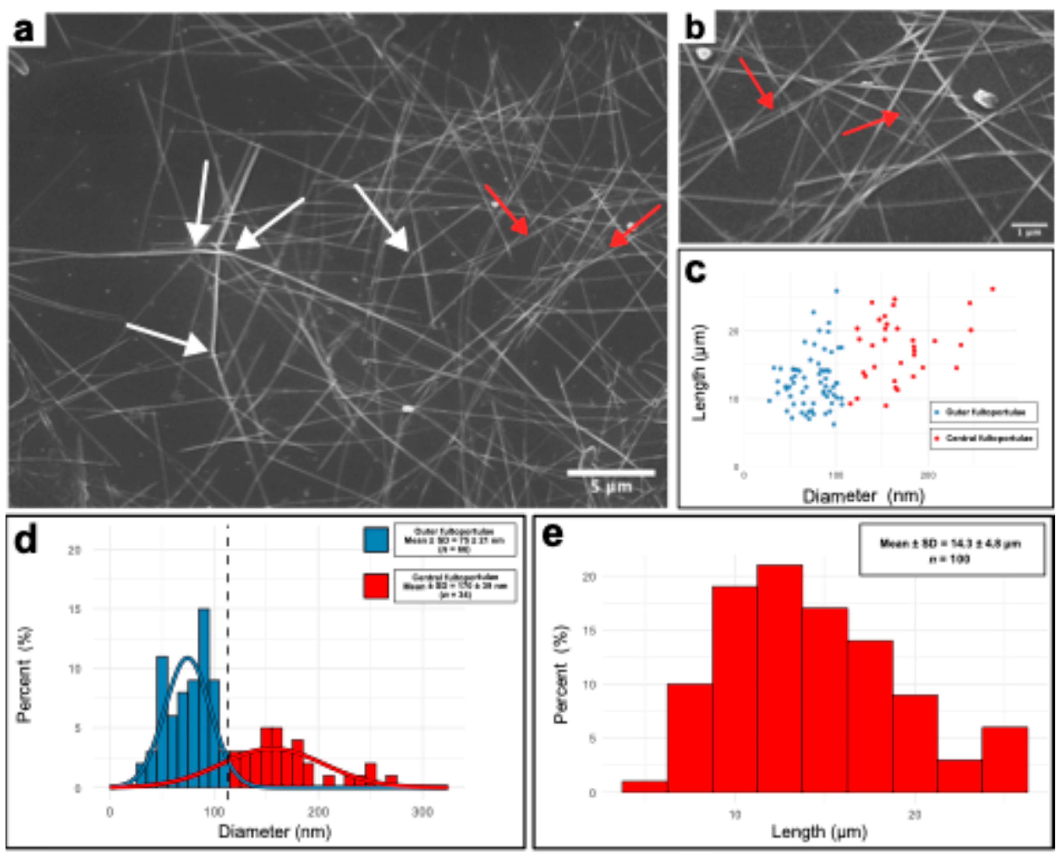 Preprints 172899 g002