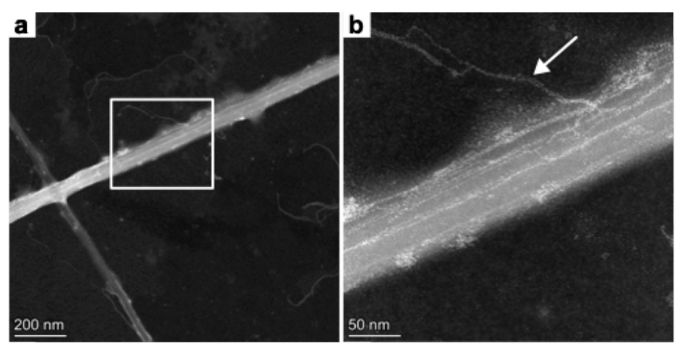 Preprints 172899 g003