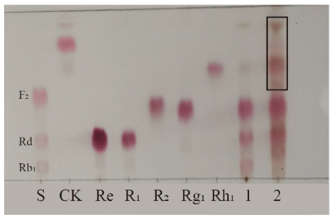 Preprints 147434 g002