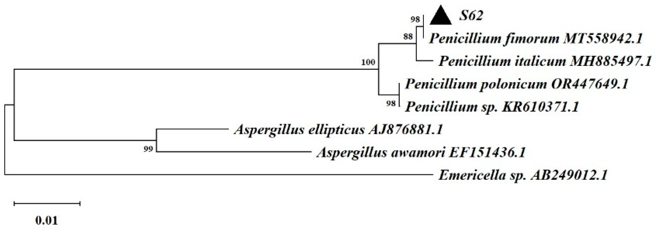 Preprints 147434 g003