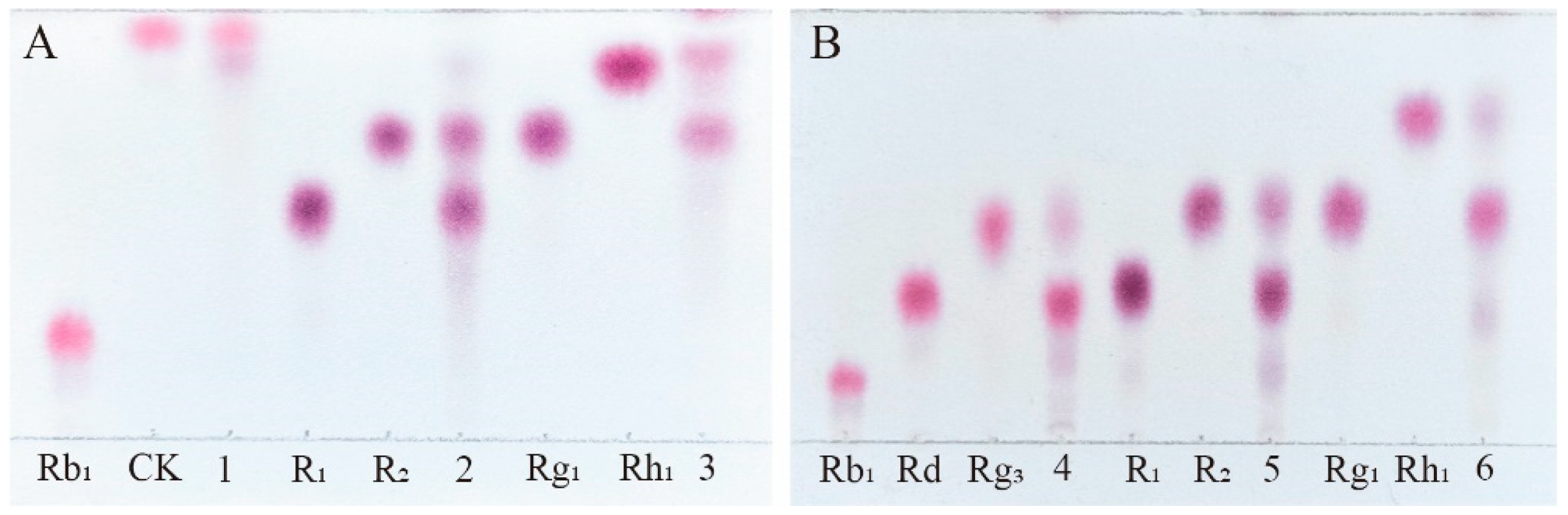 Preprints 147434 g006